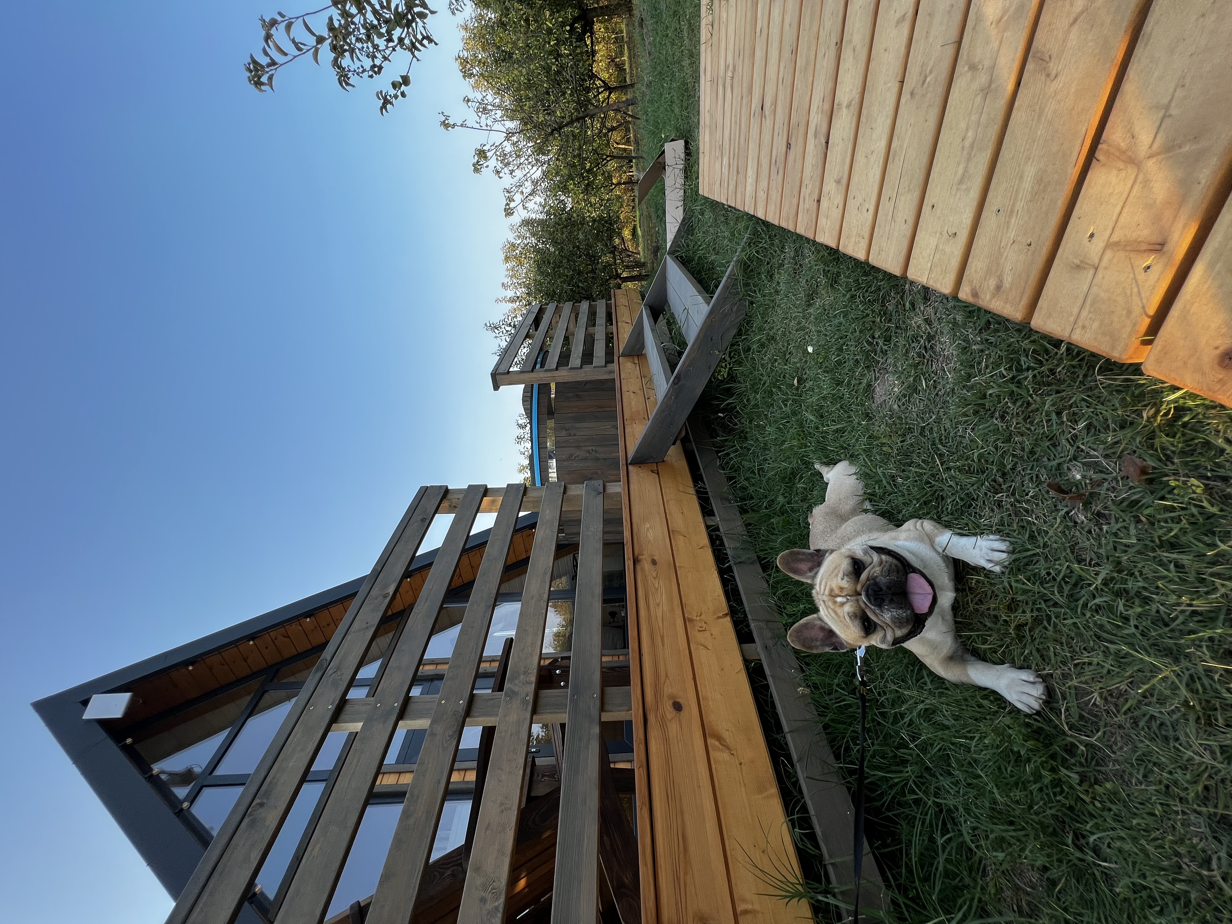 Фото Apparadise&SPA