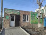 Avtostekla (Pavlodar oblysy, Ekibastuz, 13 Severnıy dead end), vidrio de automóvil