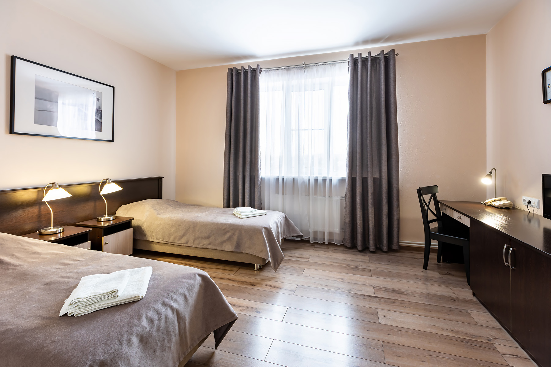 Фото Подсолнух