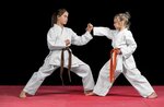 Lions Karate (Mattar Mohammed Al Tayer Building, Al Karama, Bur Dubai, Dubai), sports club