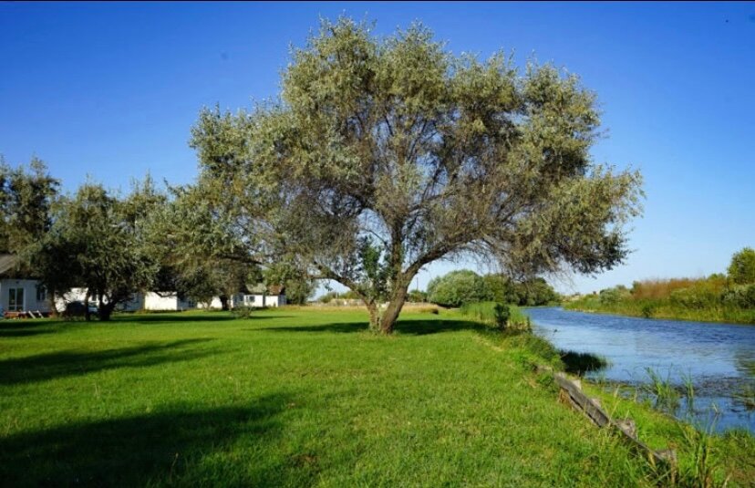 Фото Берлога