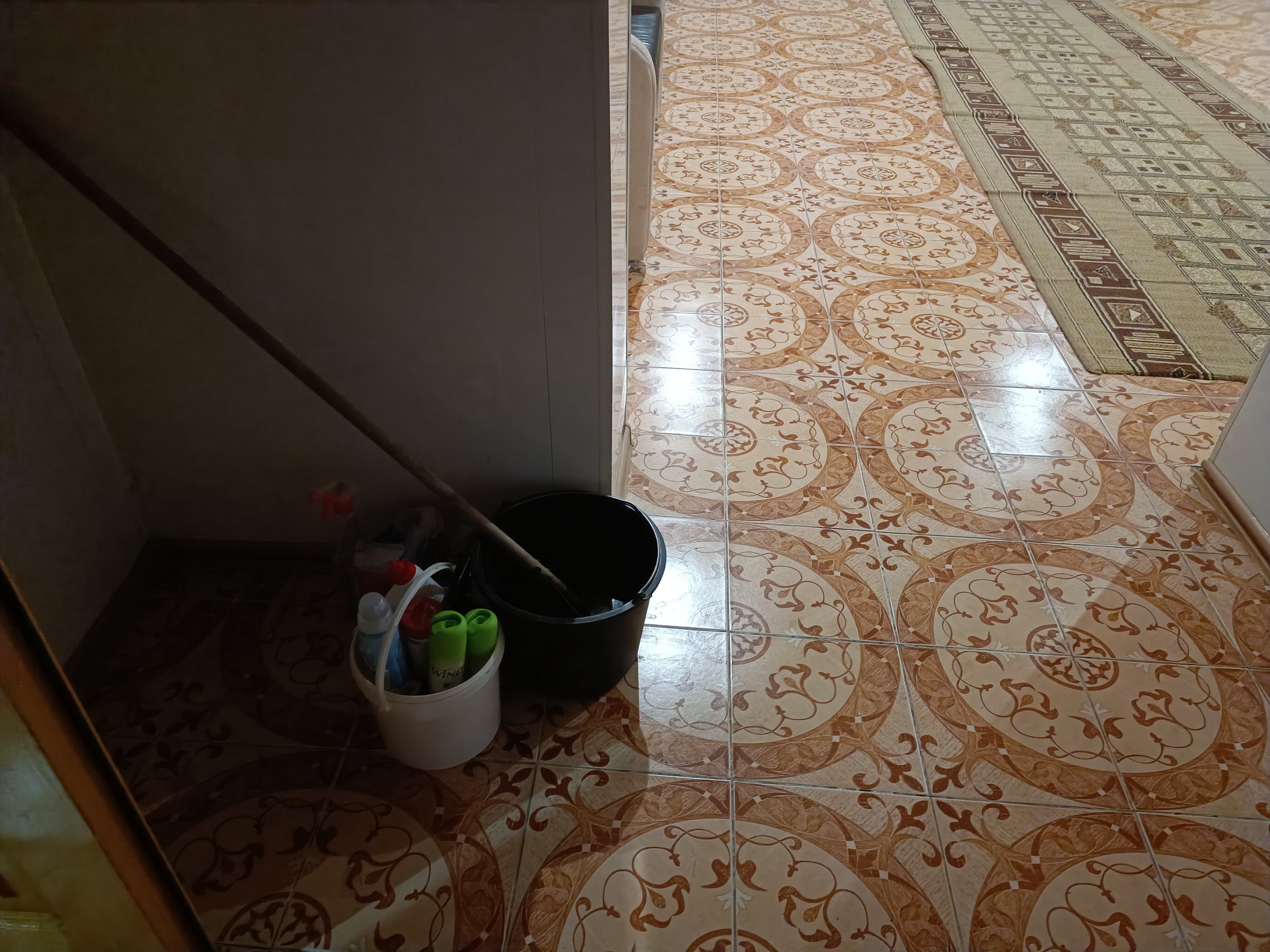 Фото Сюрприз