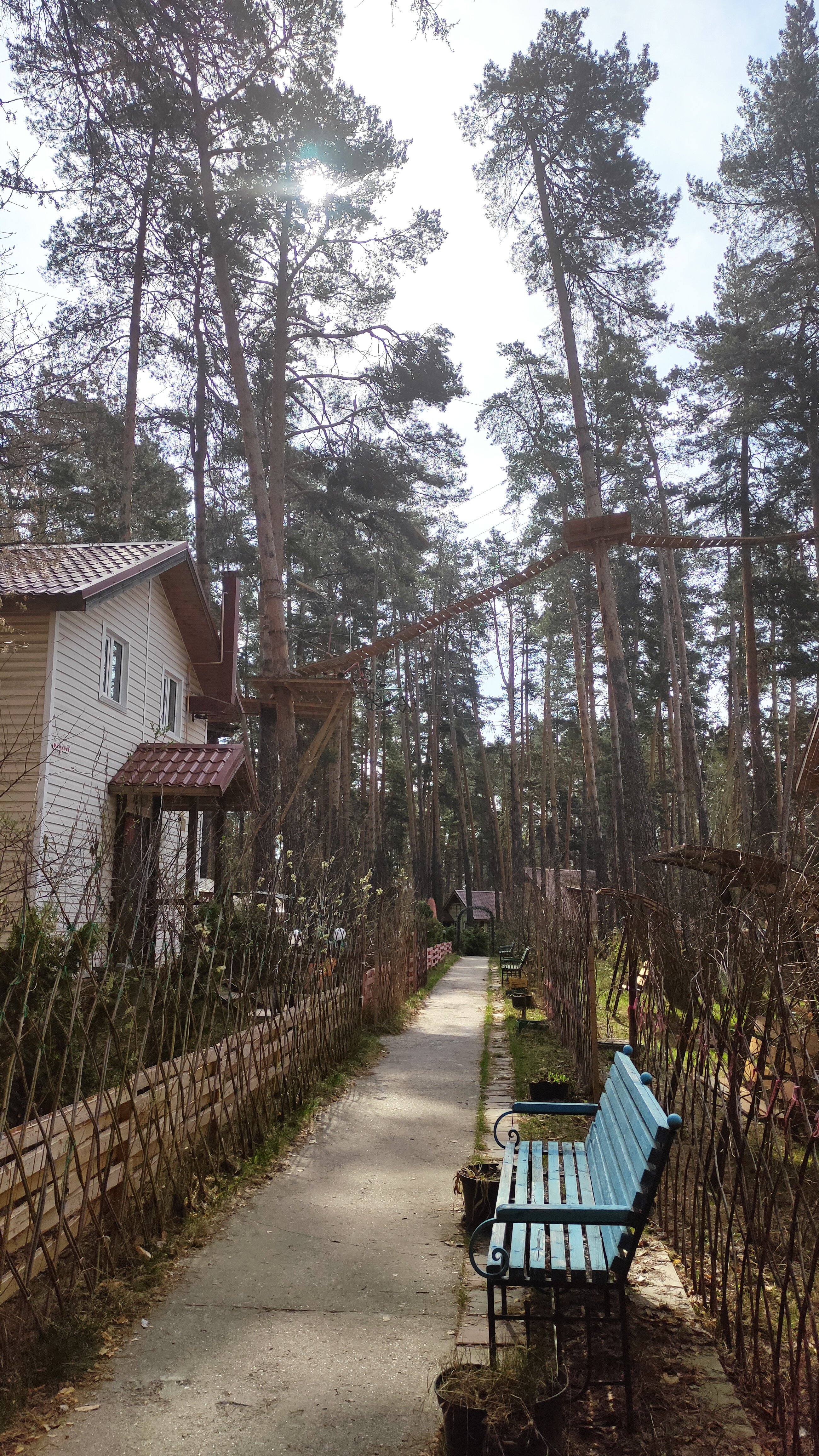 Фото Лебяжье