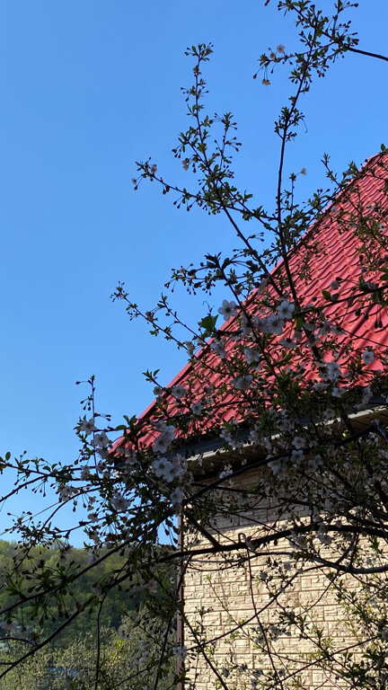 Фото Гостевой дом на Ново-революционной