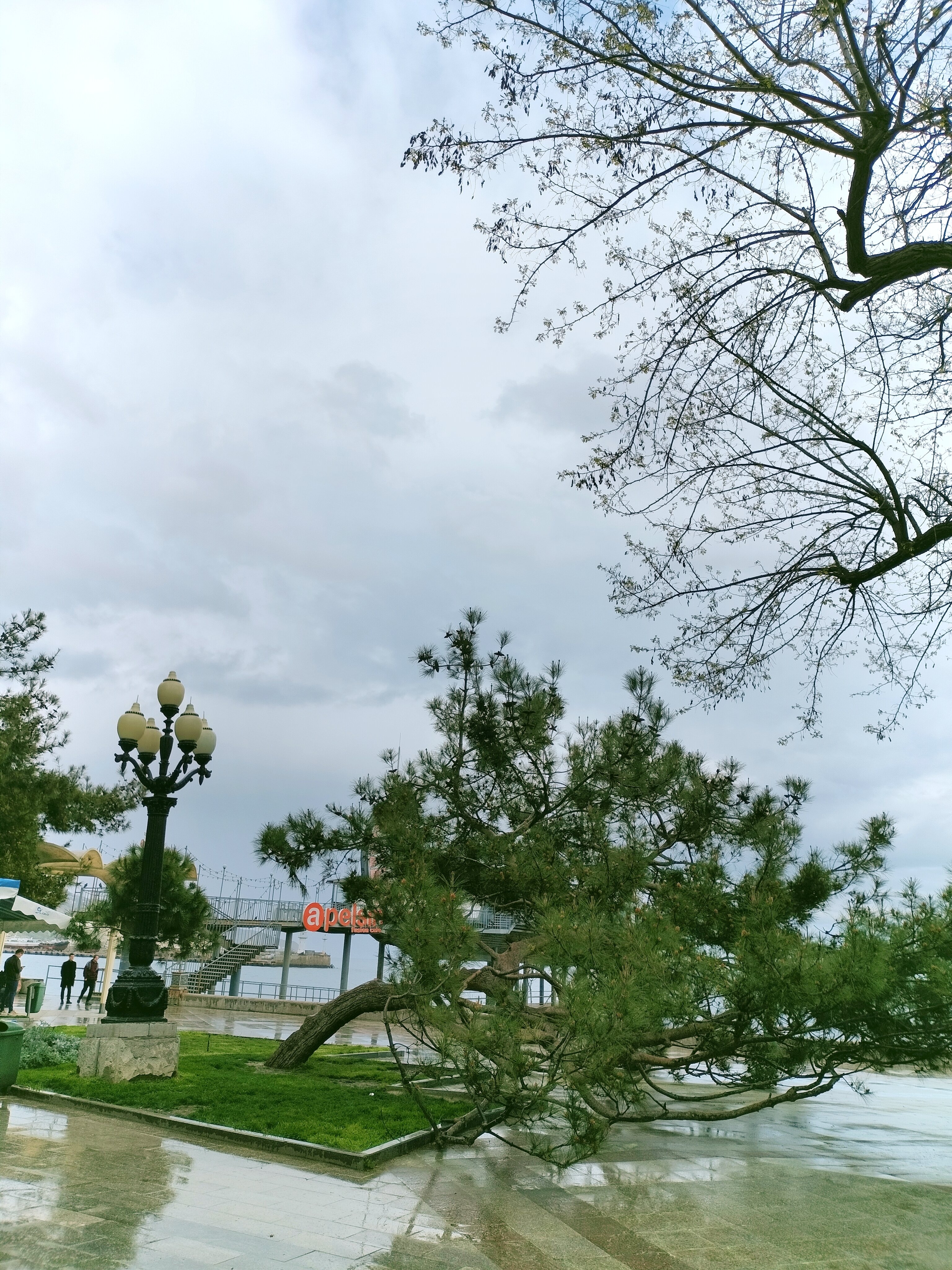 Фото Адмирал Ялта