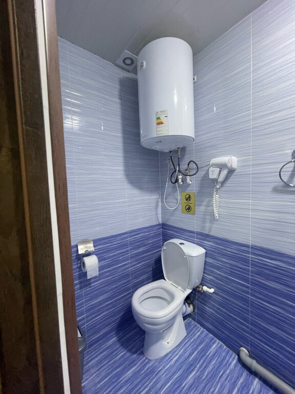 Фото Shosh Apartments