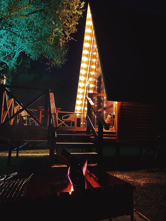 Фото Богатый лес