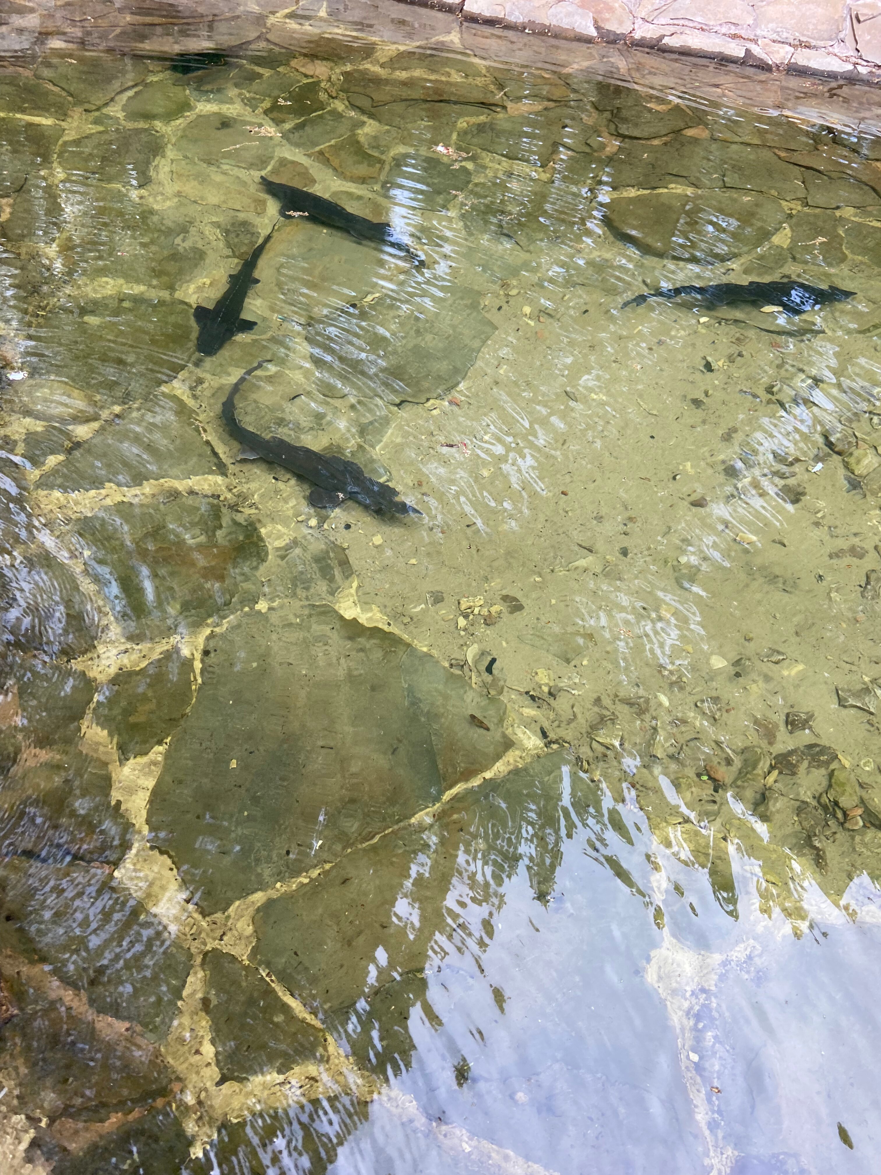 Фото Серебряный Бор