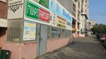 Частная бухгалтерия (Novo-Sadovaya Street, 271), accountants