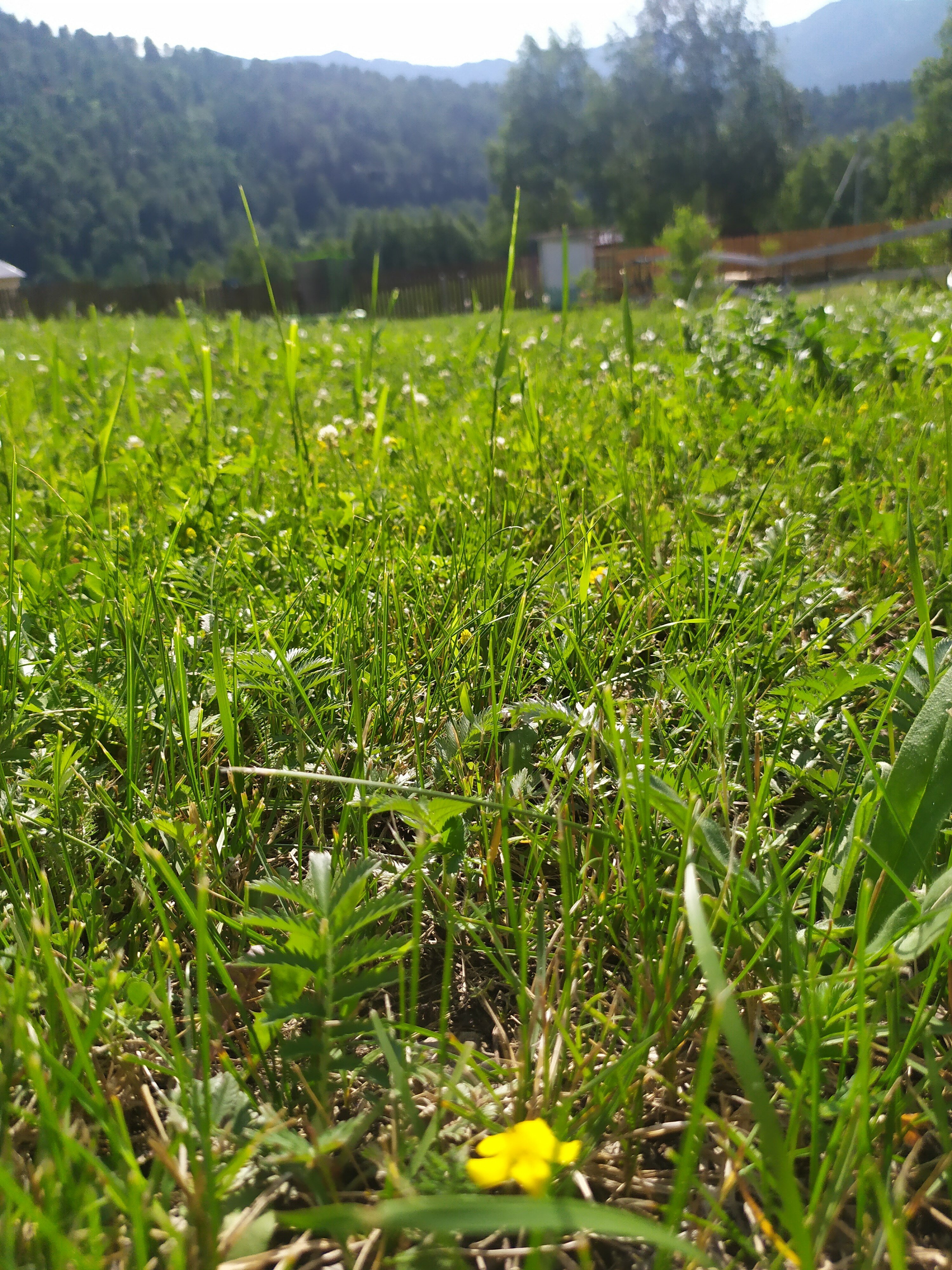 Фото Земляничная 33