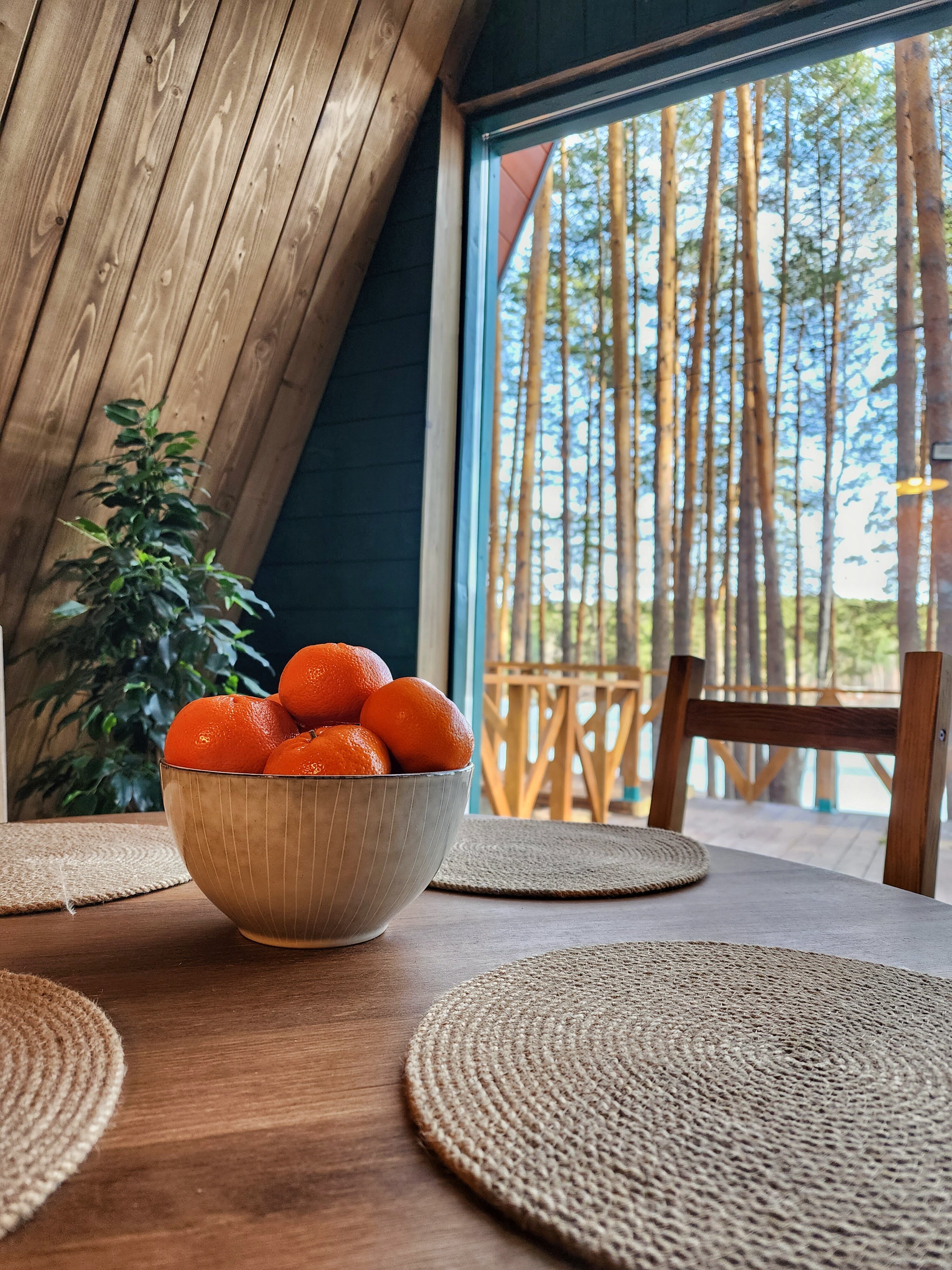 Фото Шелест Inn