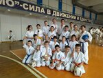 Центр развития каратэ (Sormovskaya Street, 208к1), sports club