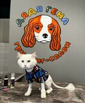 Dyadya Gena (Reutovskaya Street, 26), pet salon