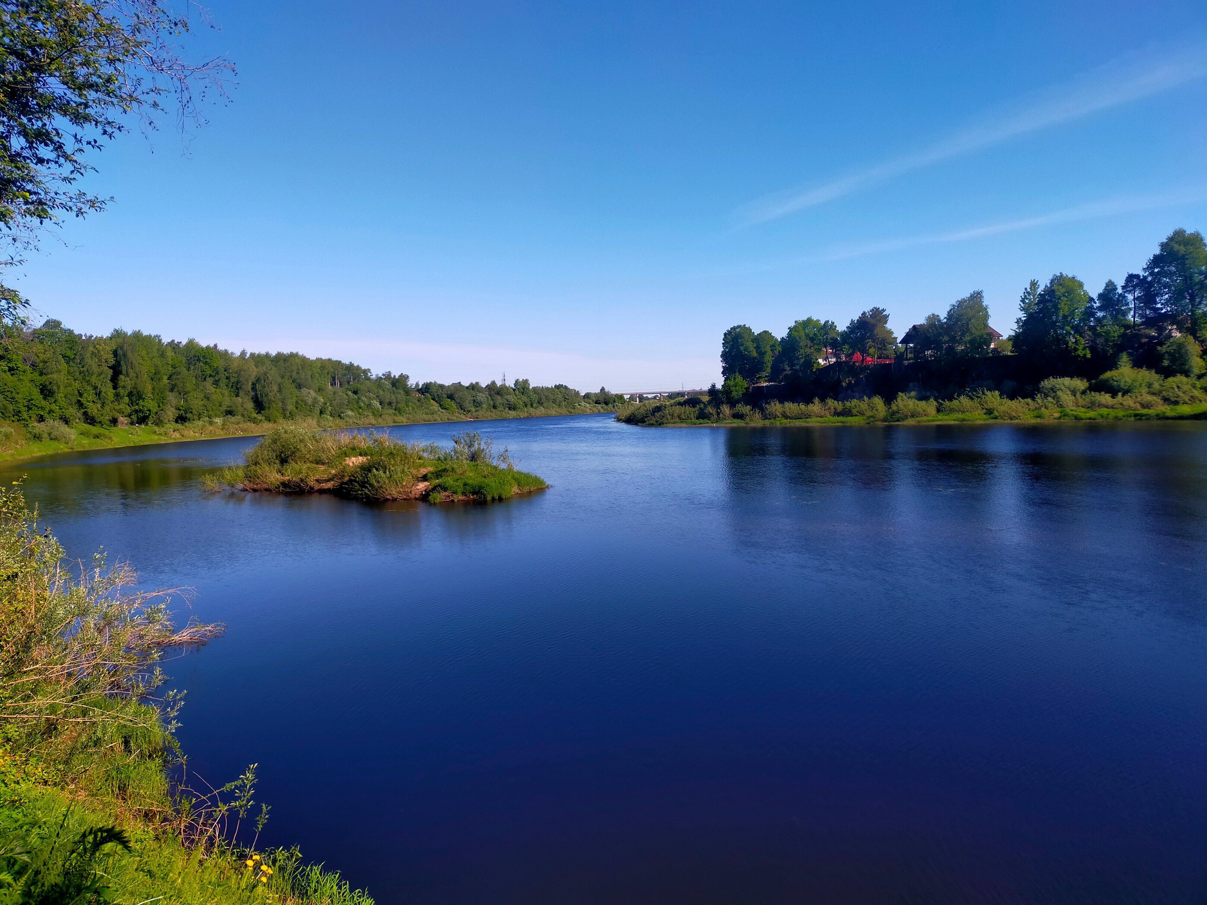 Фото Green Force