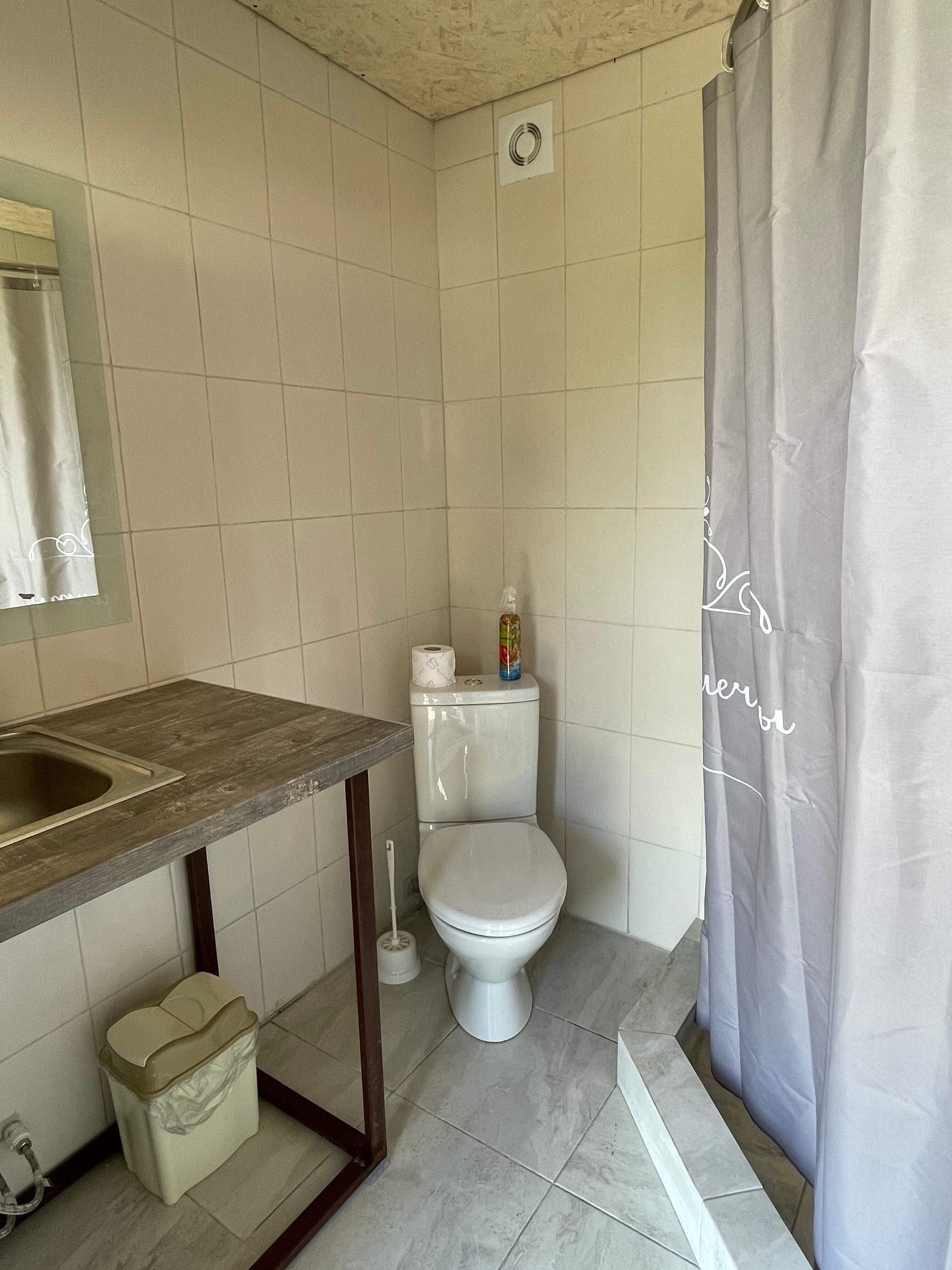 Фото Стрижи