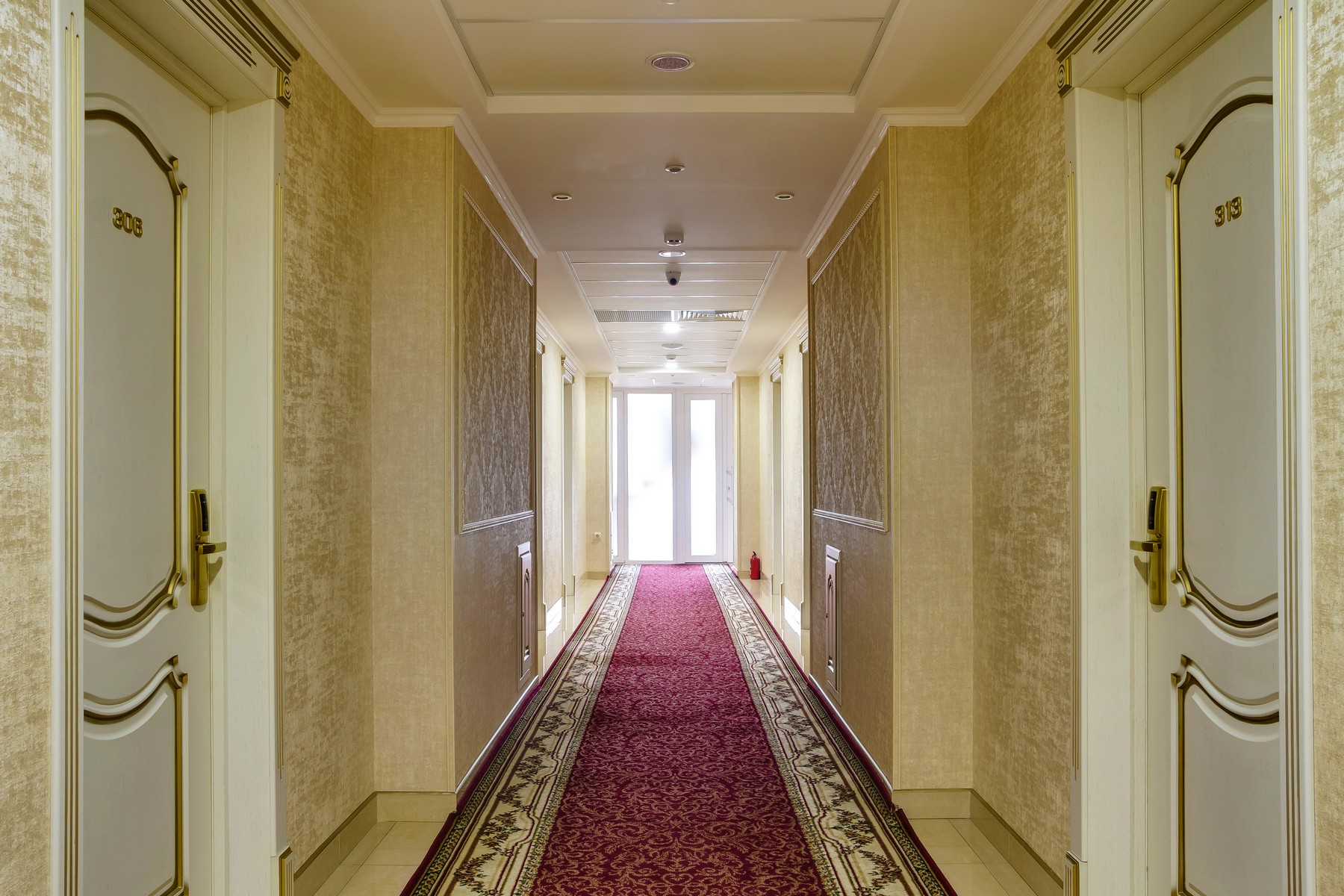 Фото Браво