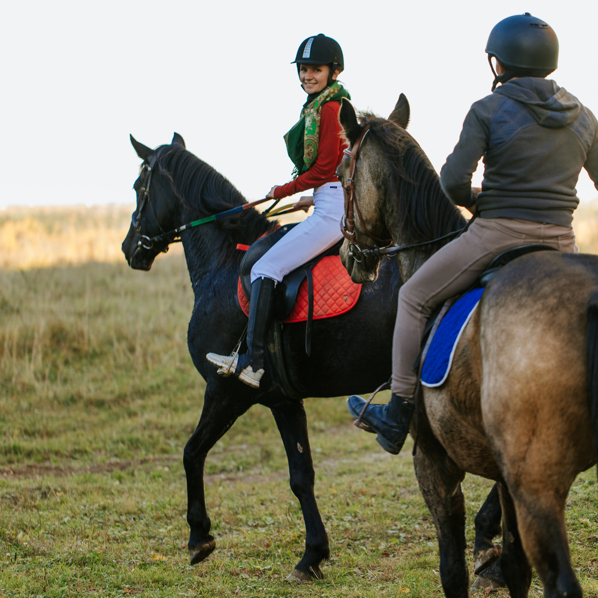 Фото Эль ранчо