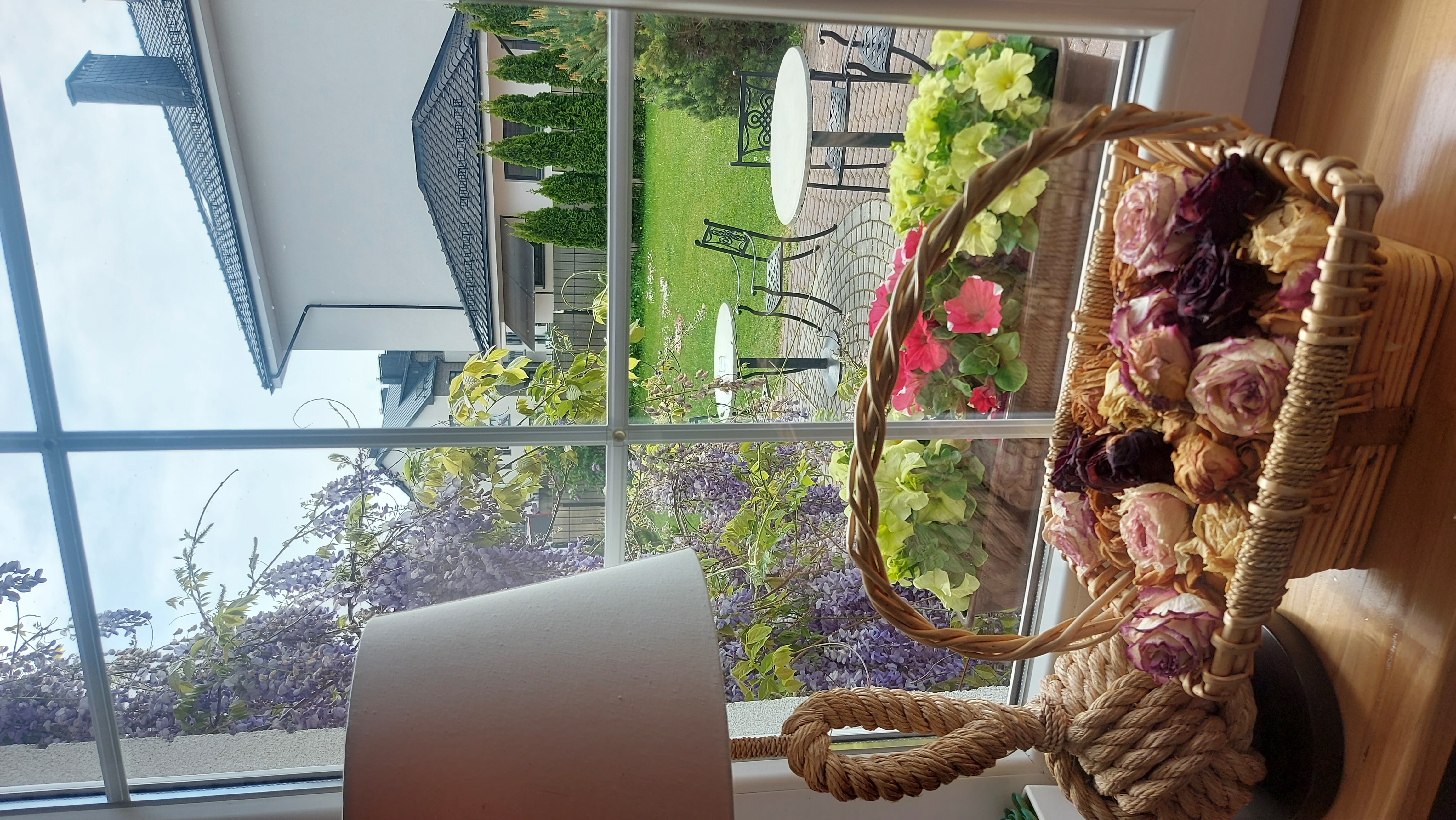 Фото Янтарный сезон