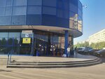 Technic Service (Prosvescheniya Avenue, 74), appliance repair