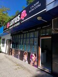 Lotus (Baizak Batyr Street, 217), beauty salon