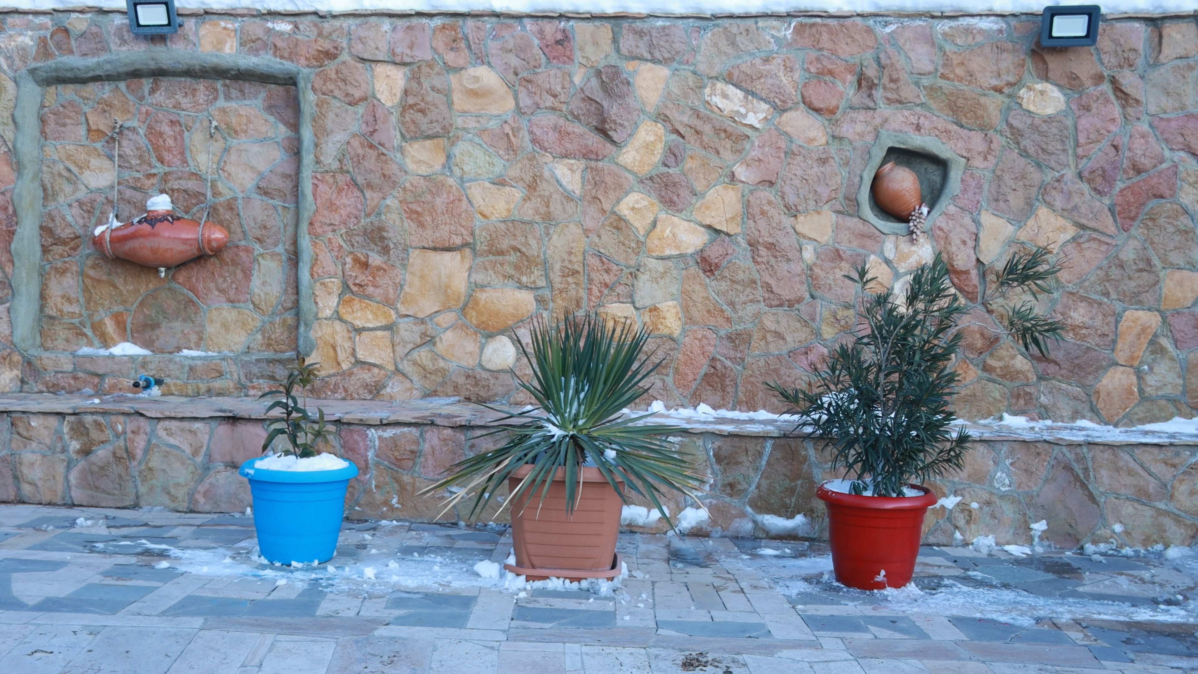 Фото Exclusive Wine & Gastro Yard