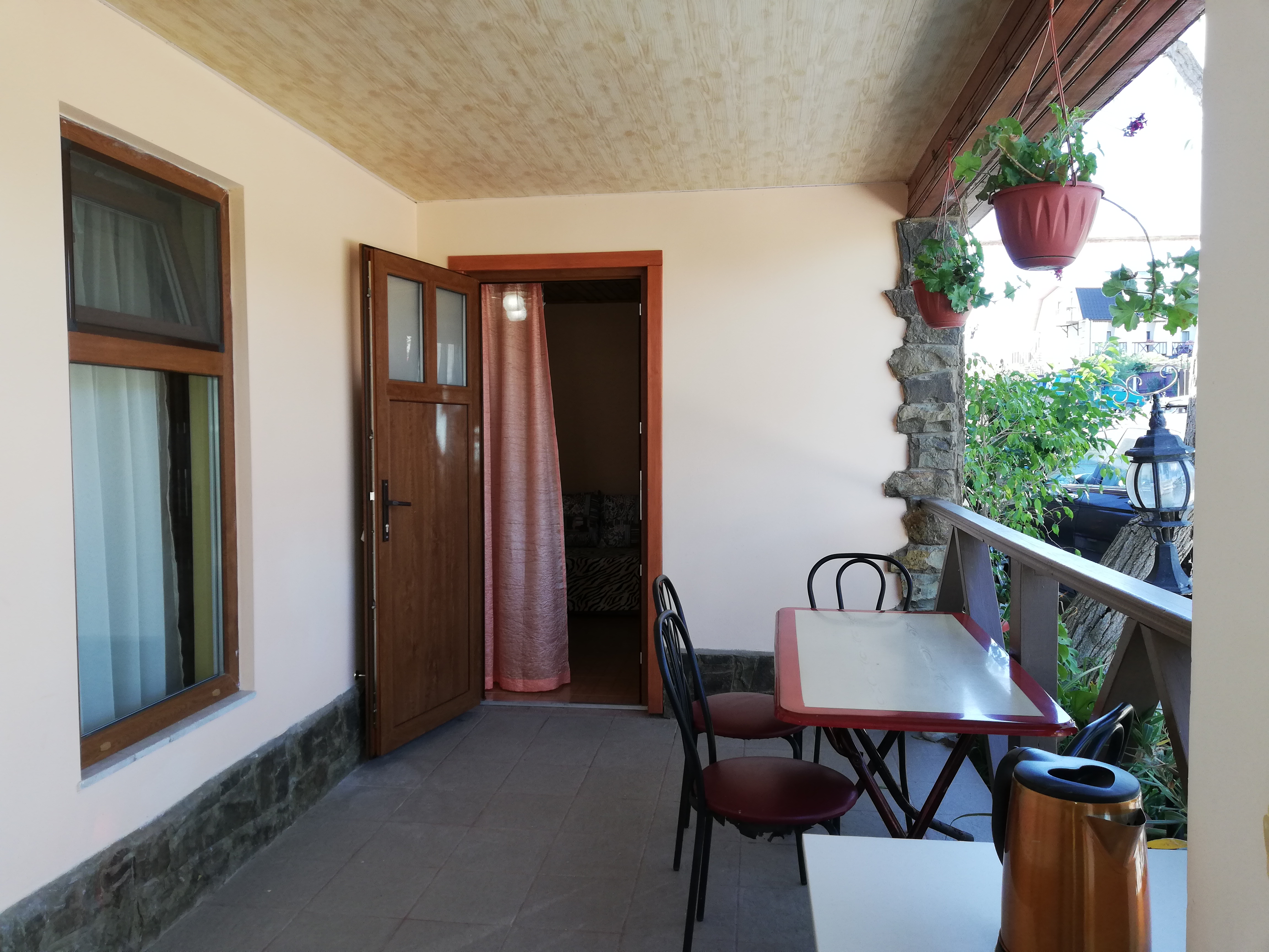 Фото Глициния