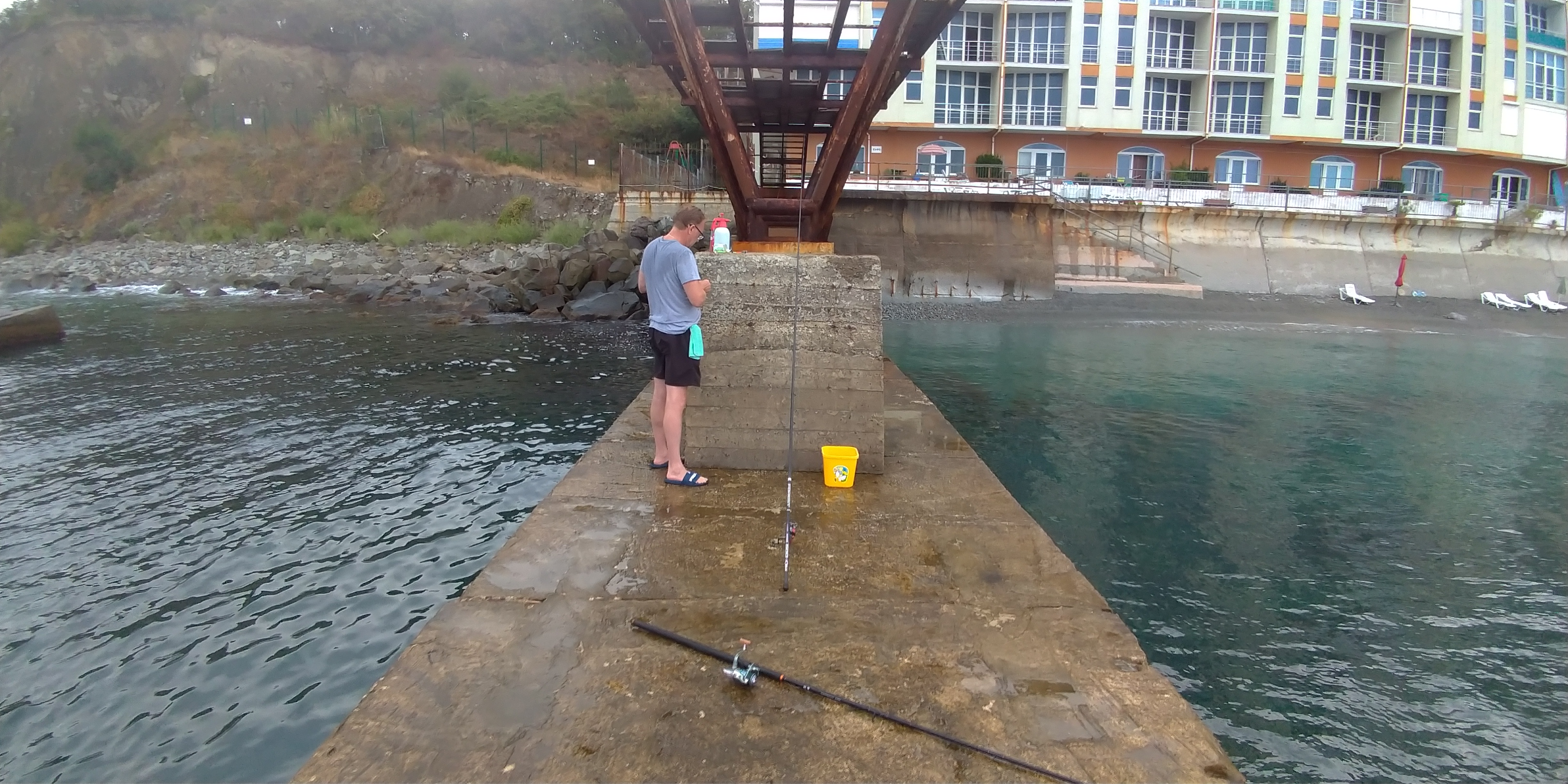 Фото Наутилус