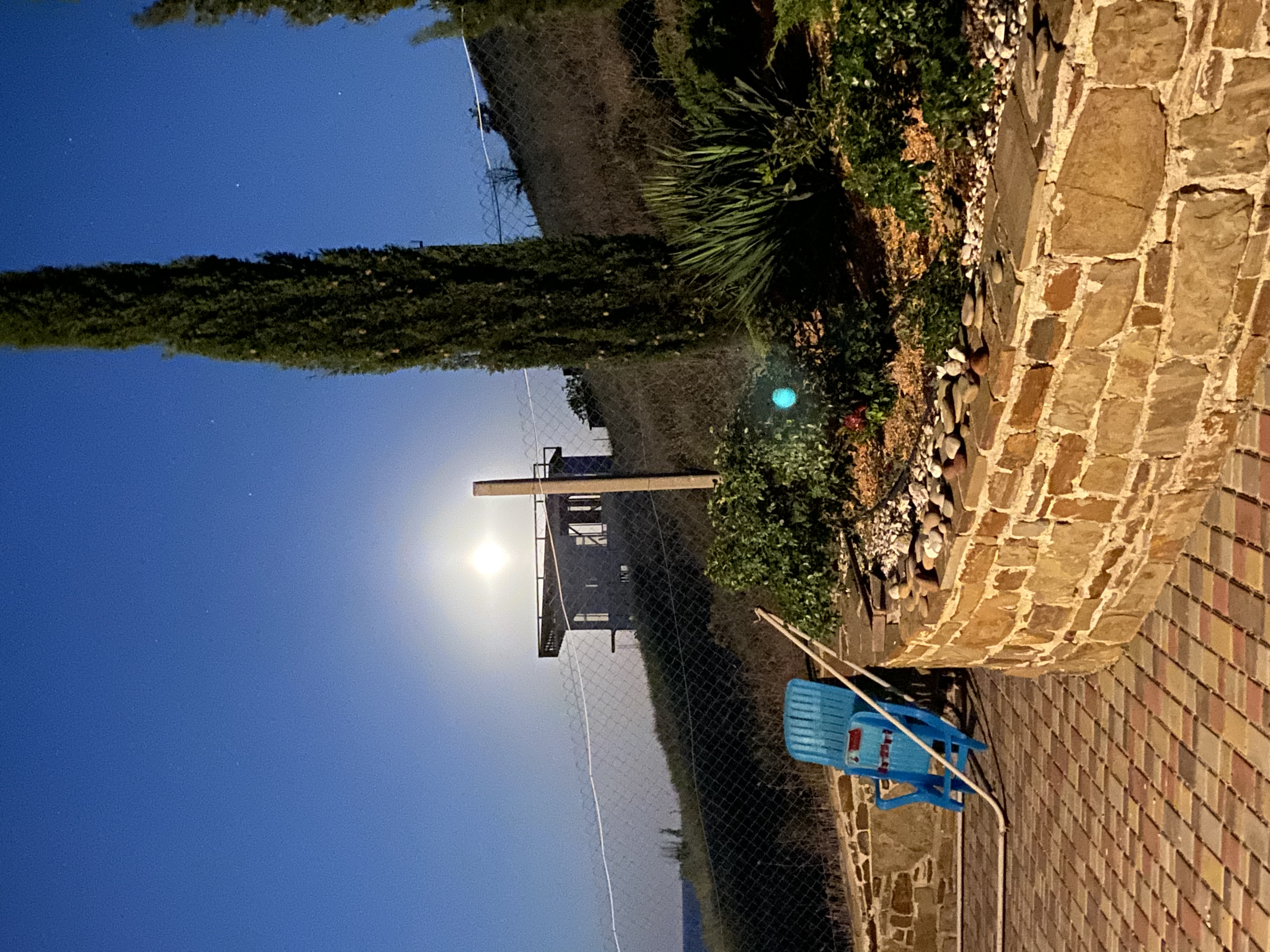 Фото Кипарис