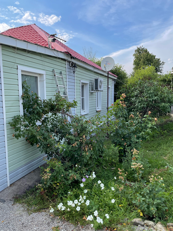 Фото Ивушка