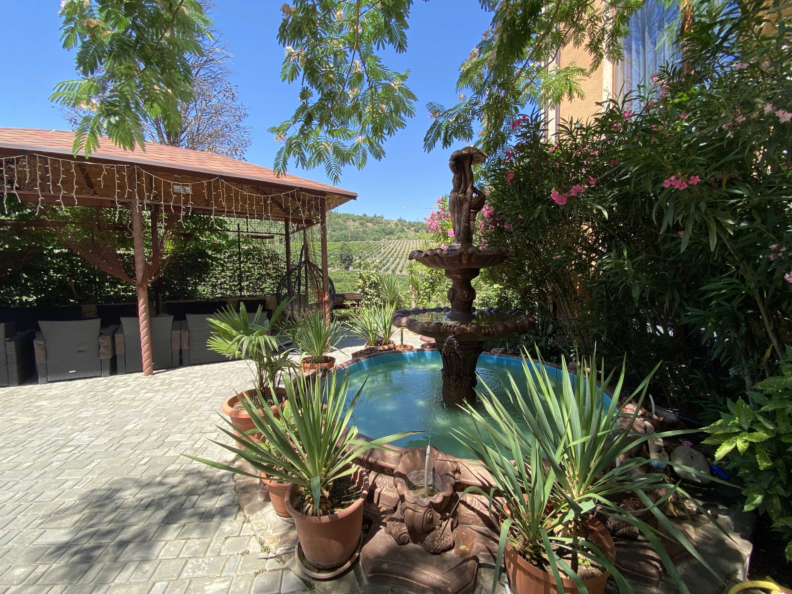 Фото Аннигора