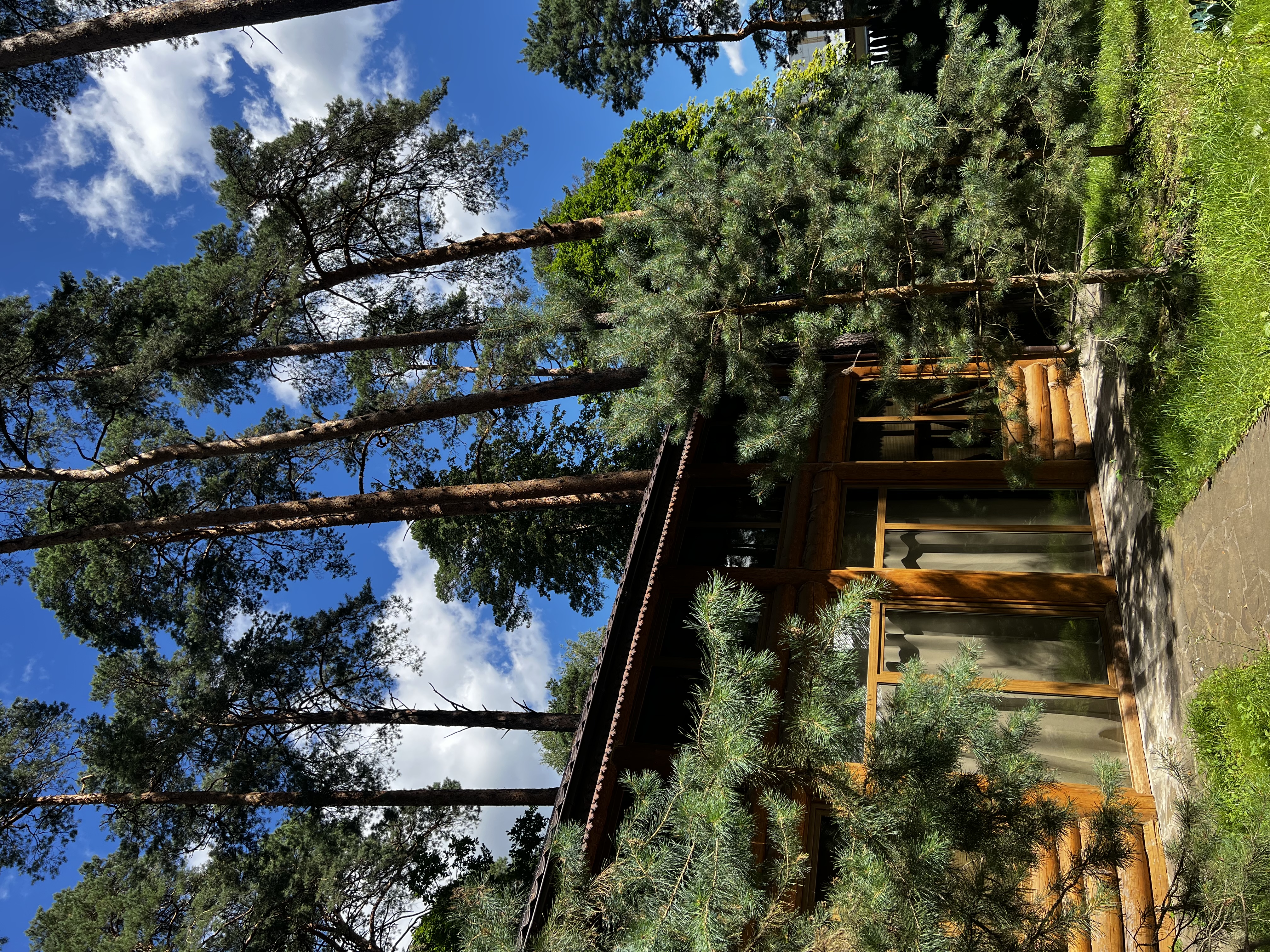 Фото Сосновый Бор