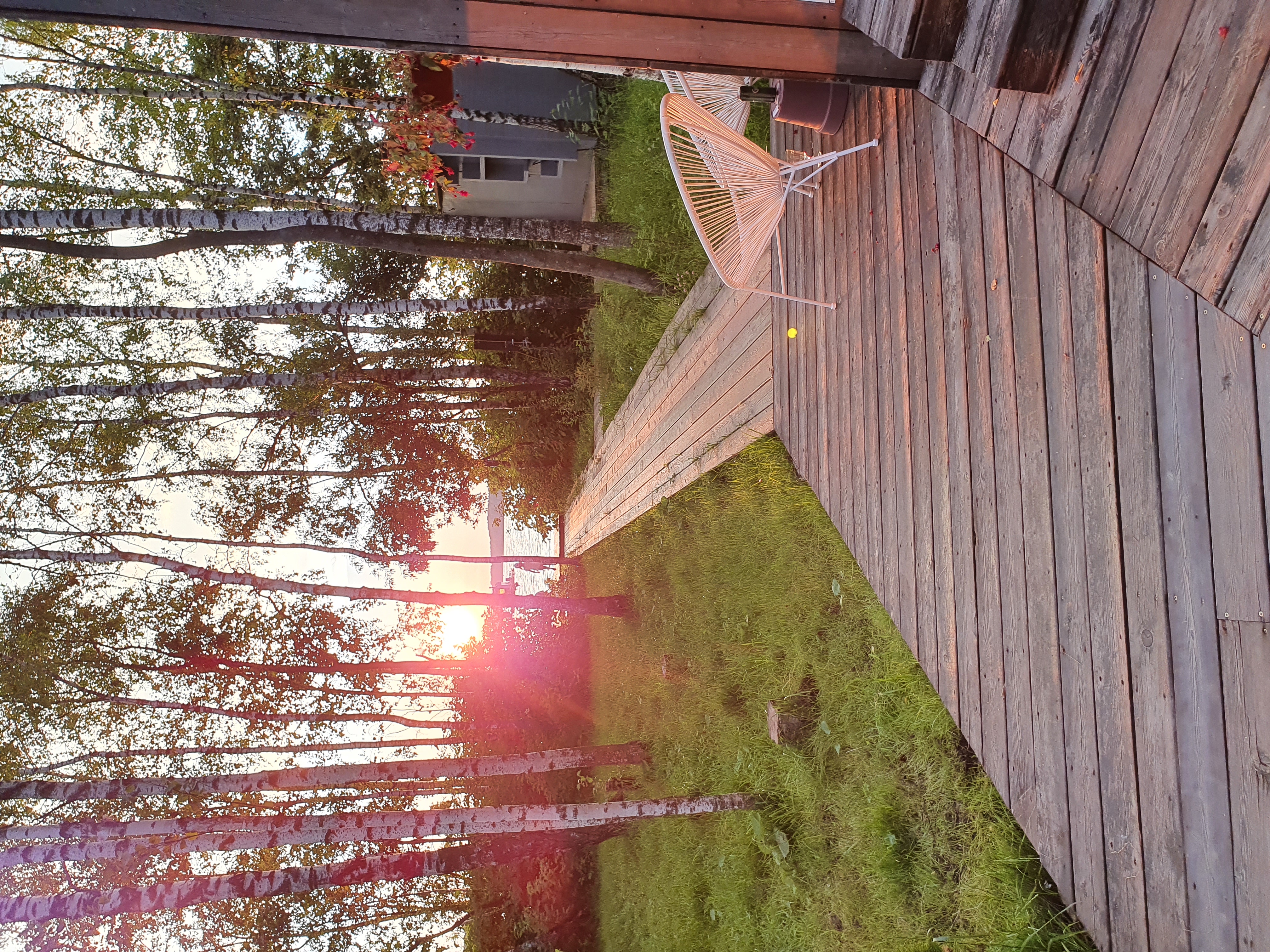 Фото На даче