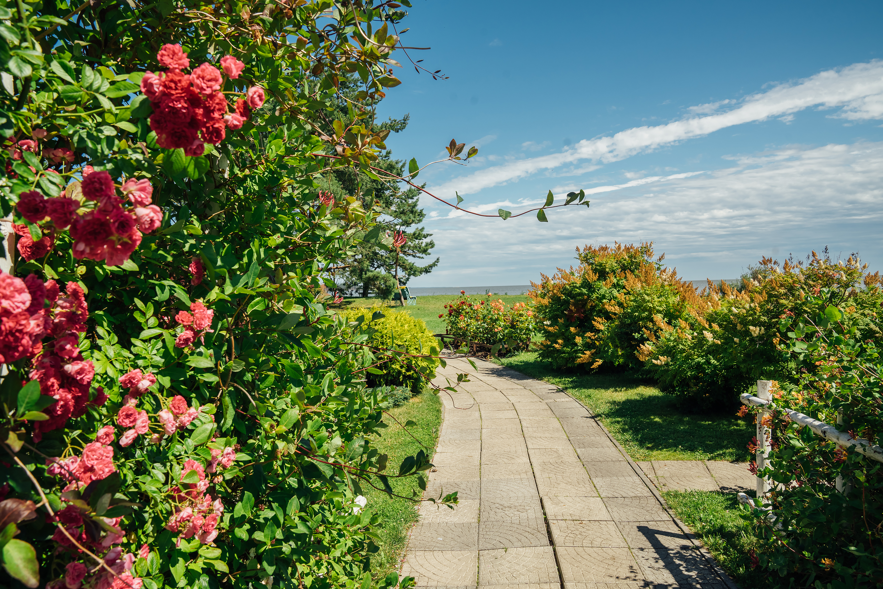 Фото Альтримо
