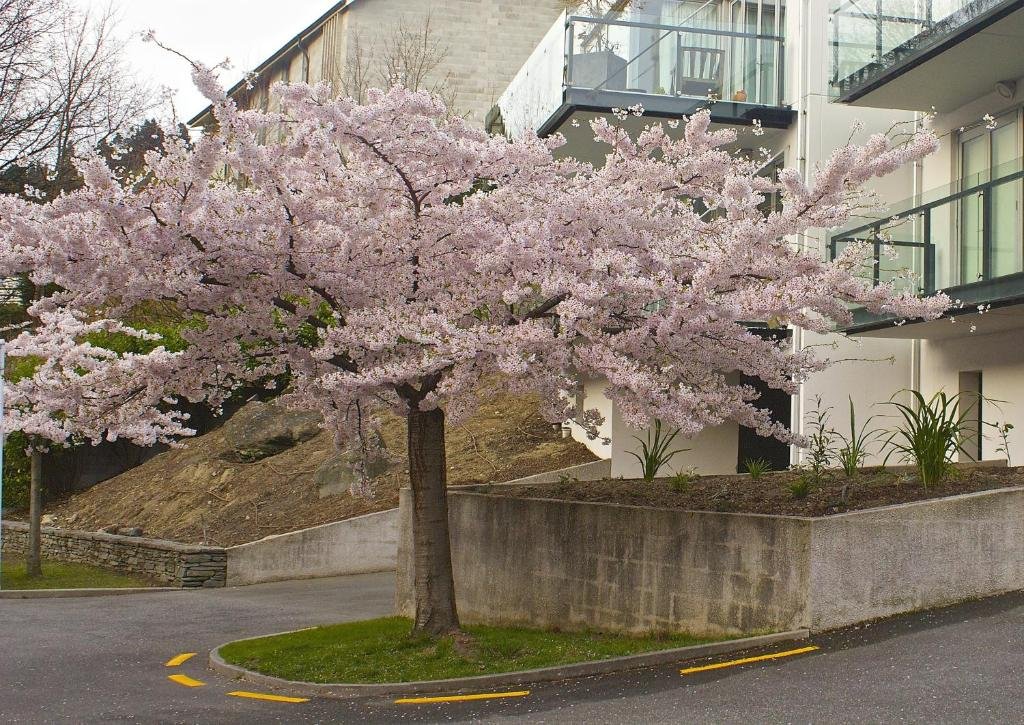 Фото Blue Peaks Lodge Queenstown