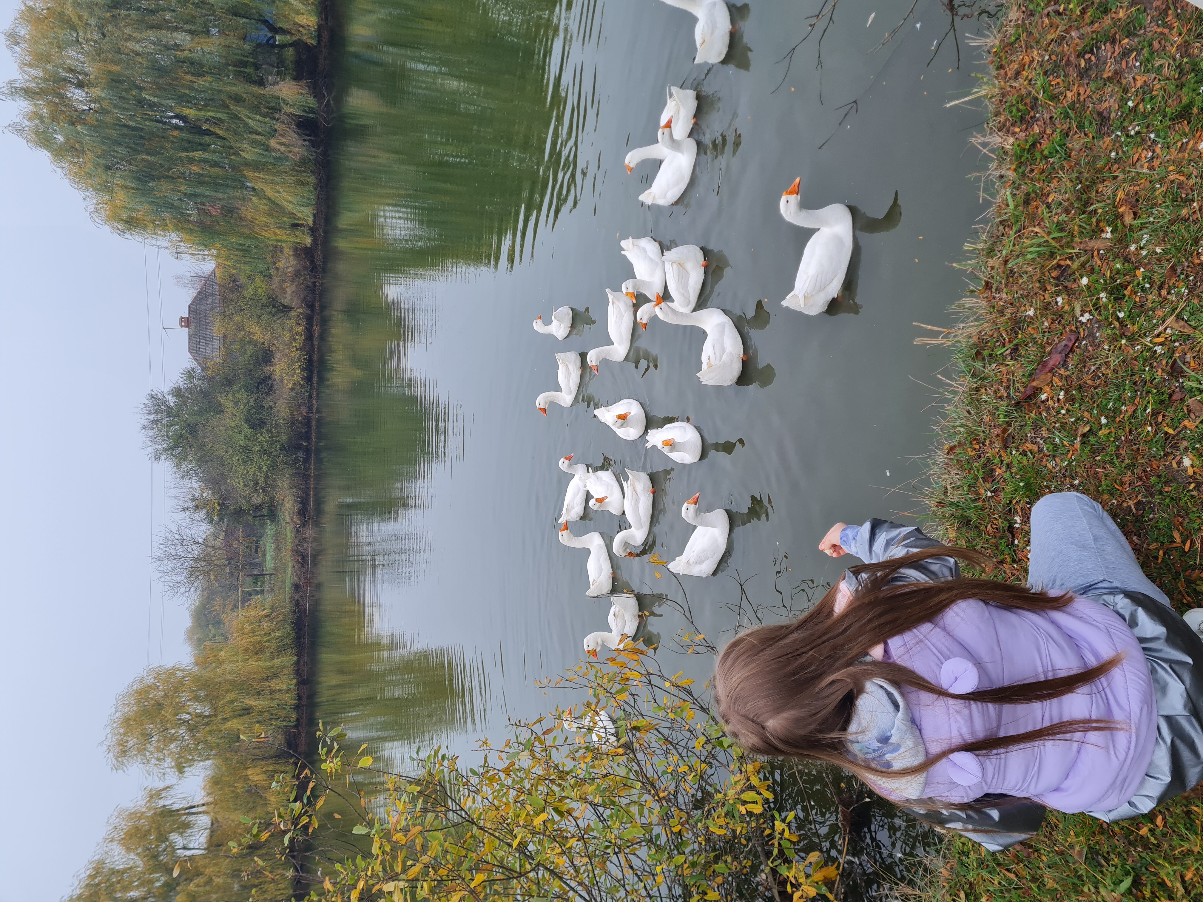 Фото Пруд Пруди