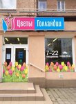 Cvety Gollandii (Kosmonavta Leonova Street, 61А), flower shop