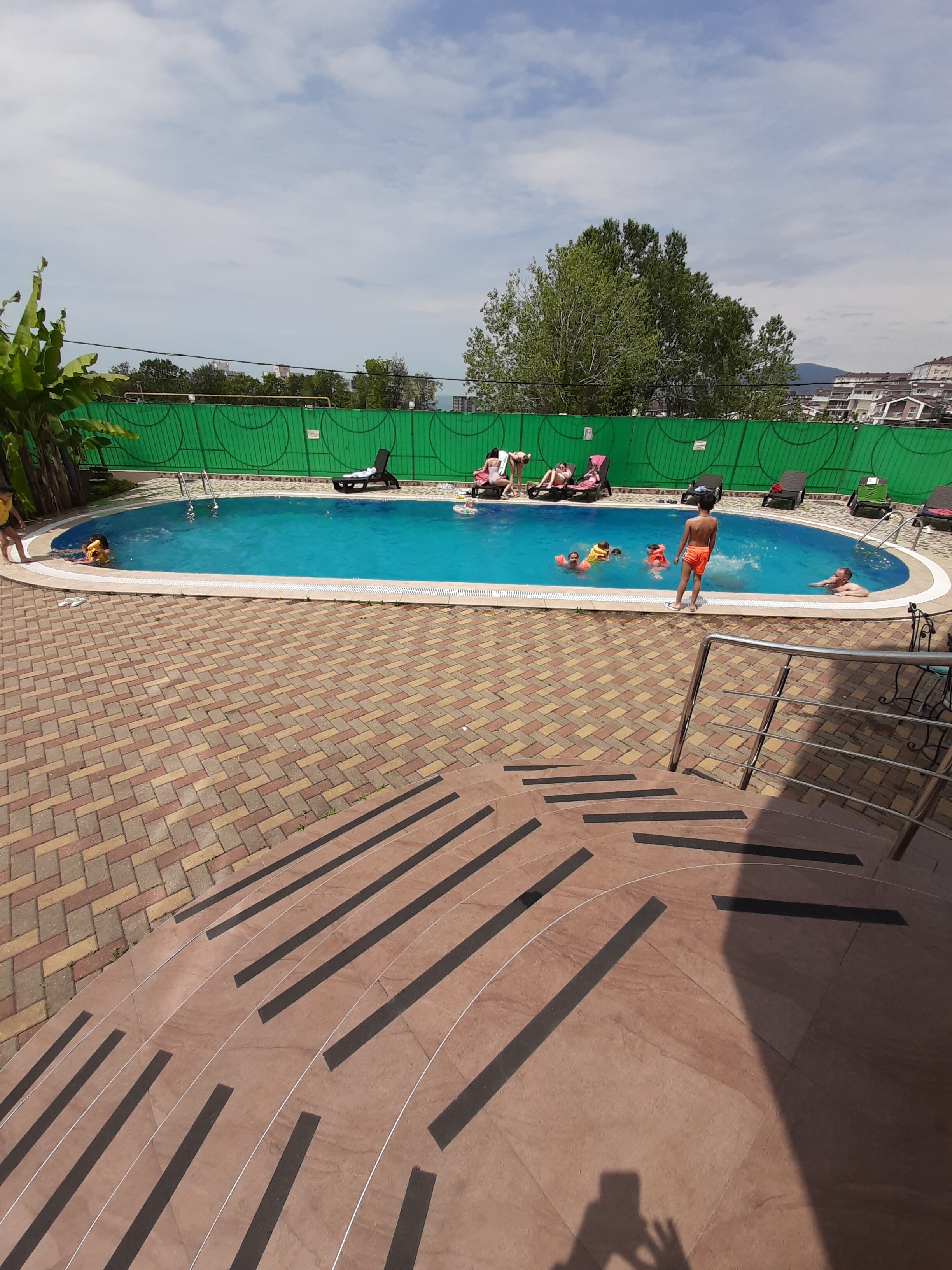 Фото Эдельвейс