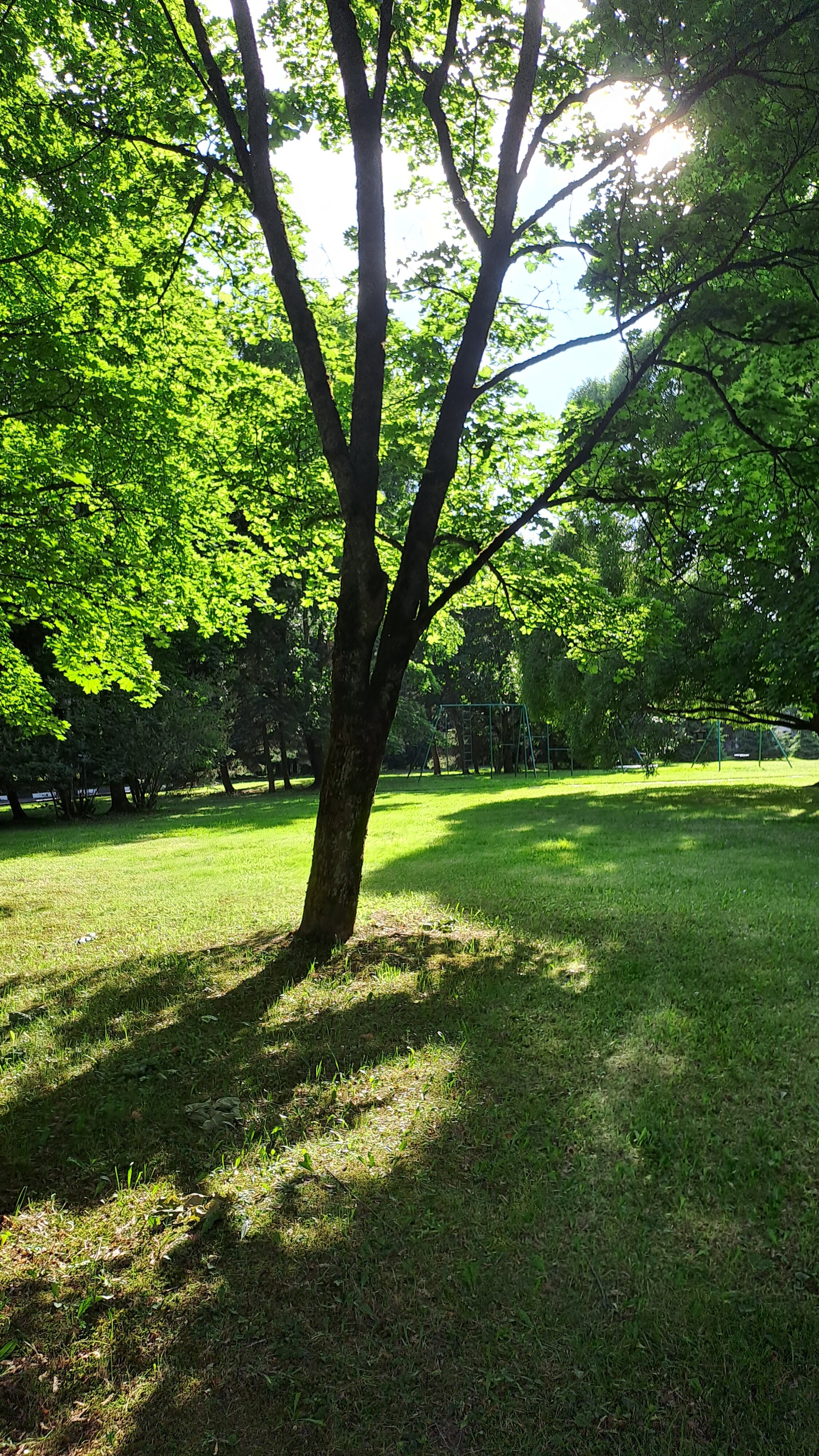 Фото Нагорное