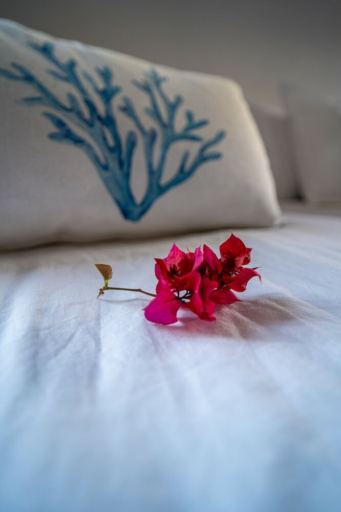 Фото Вилла Nestor