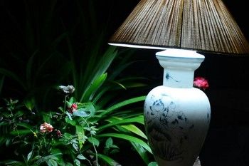 Фото Viet House Homestay