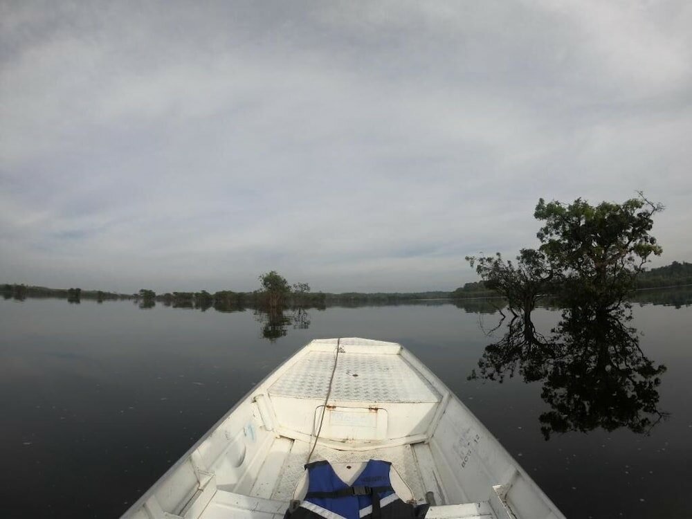 Фото Amazon Boto Lodge