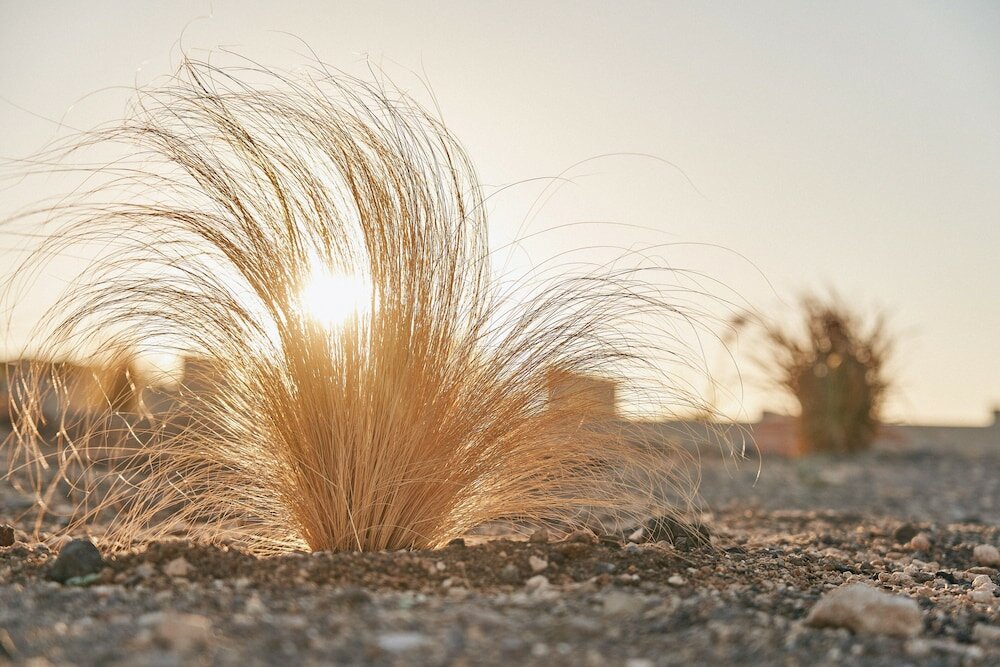 Фото Divine Cave Experience