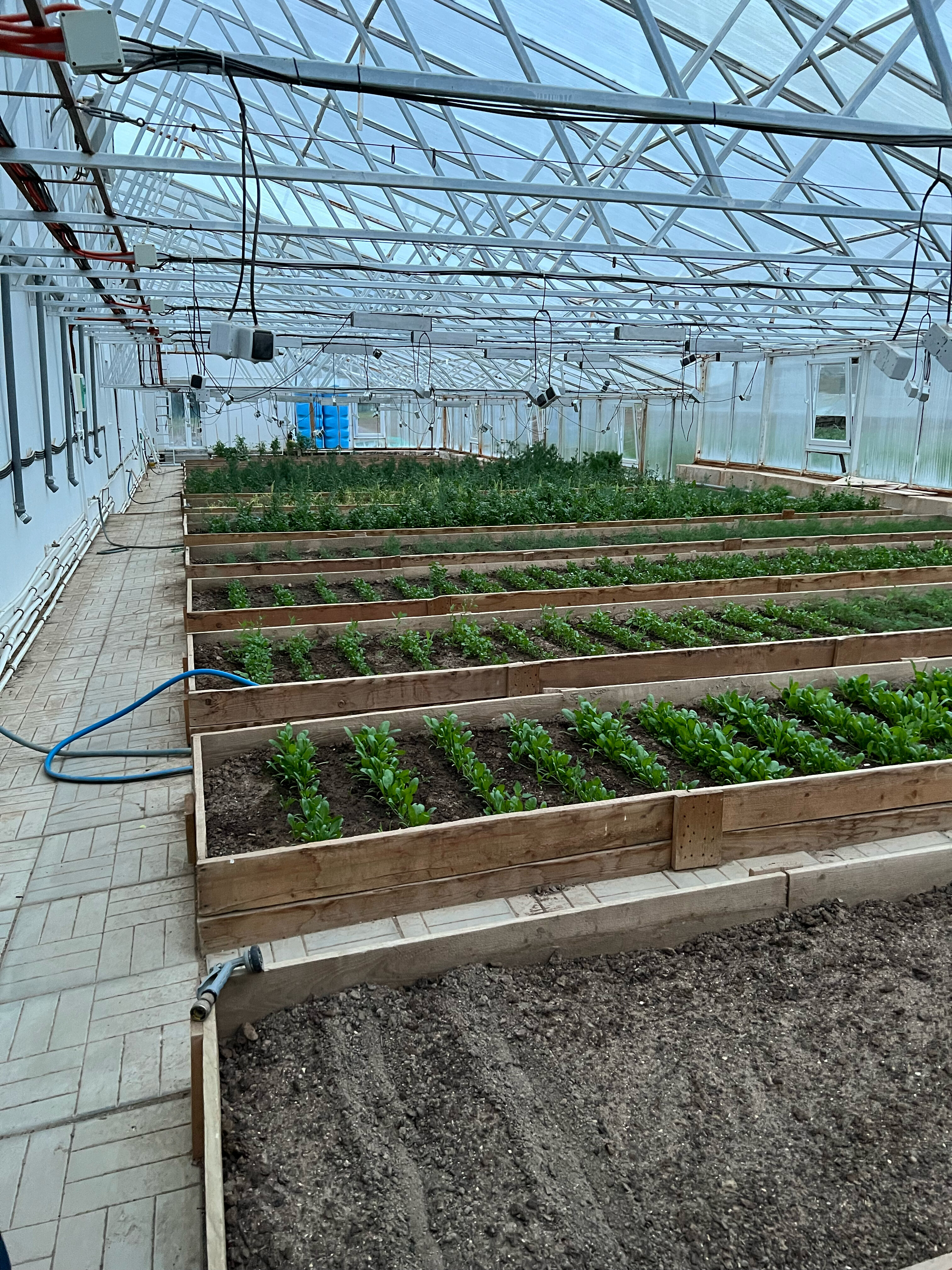 Фото Ферма моей мамы