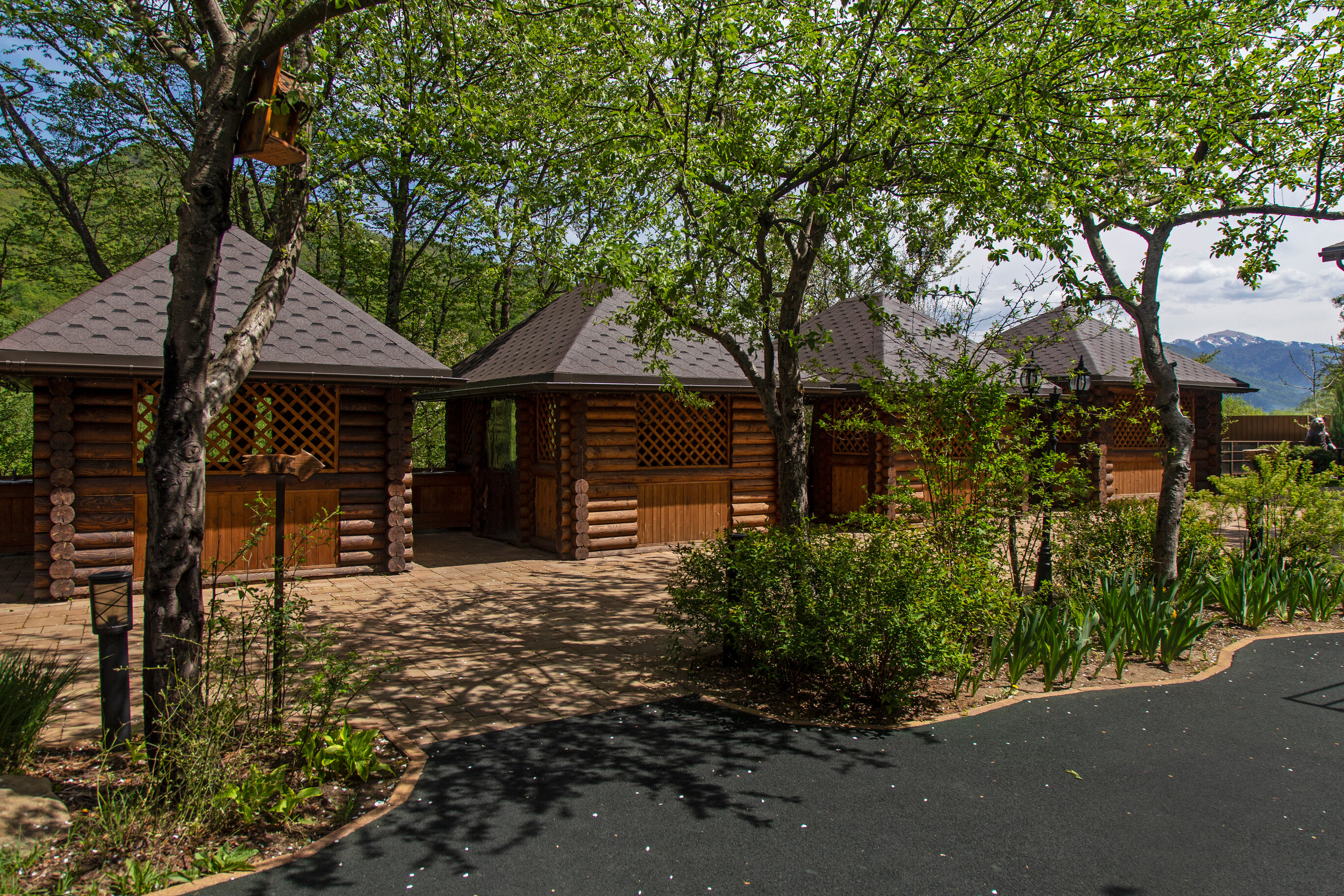 Фото Династия