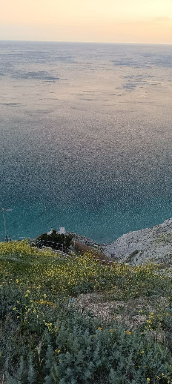 Фото Дарья +