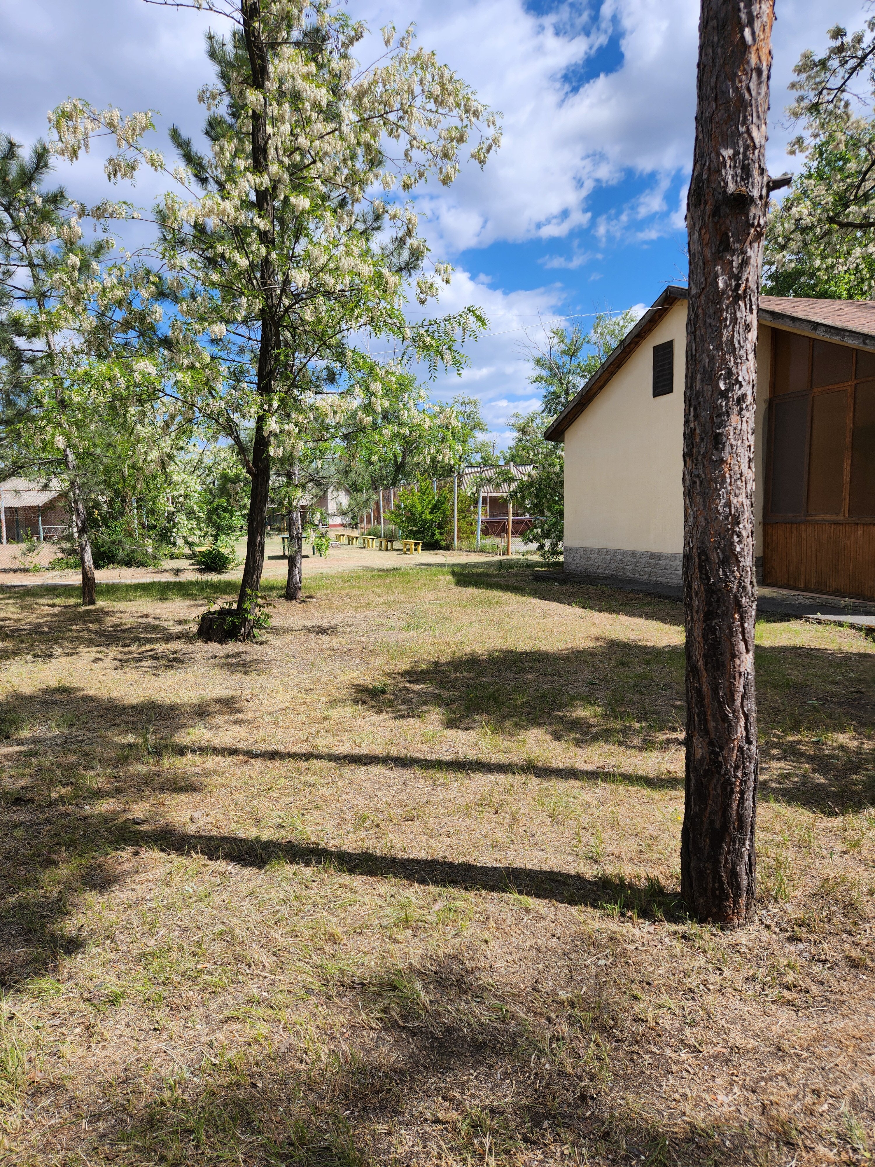 Фото Ветерок