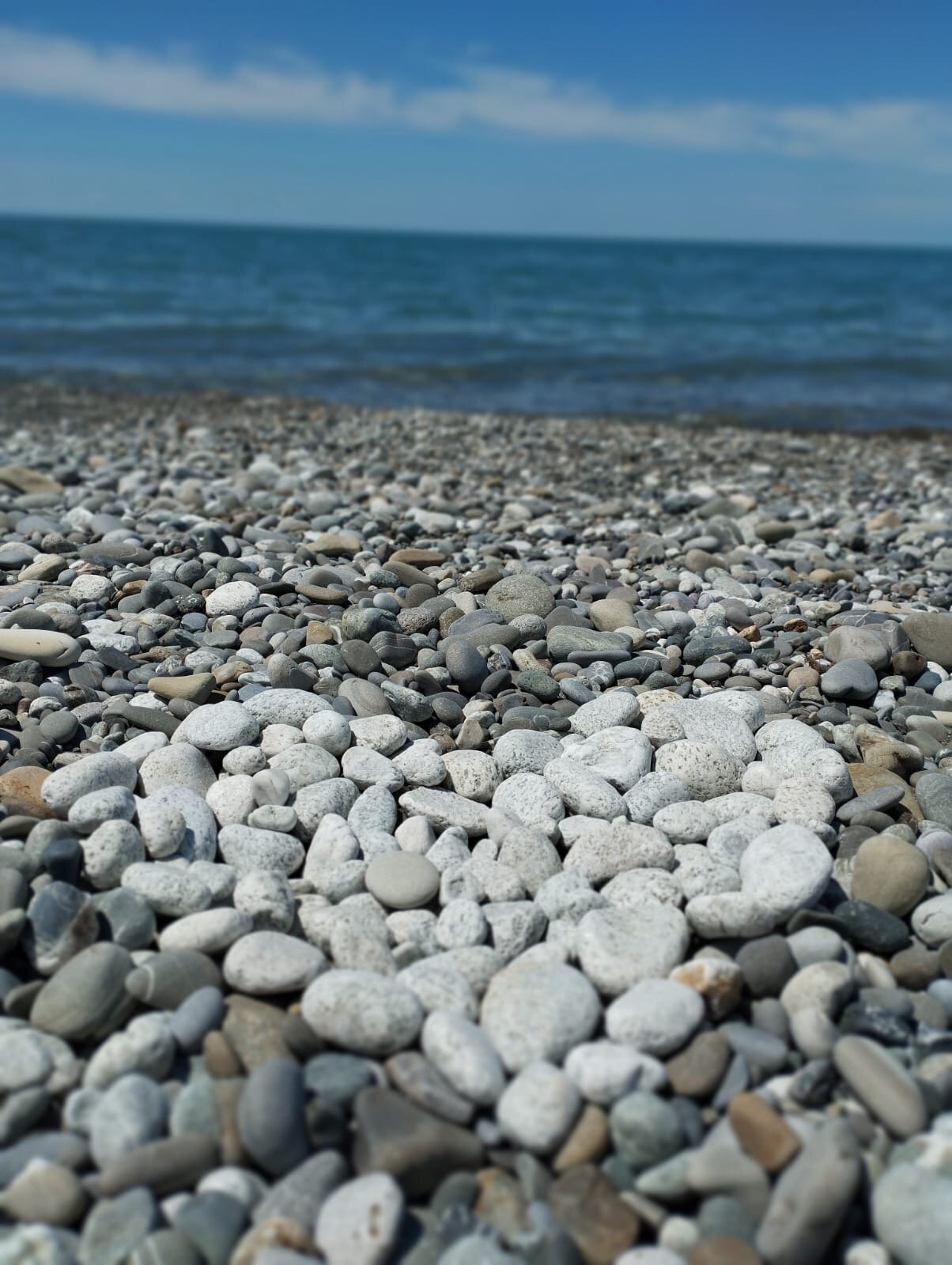 Фото GardenBerry LooResort