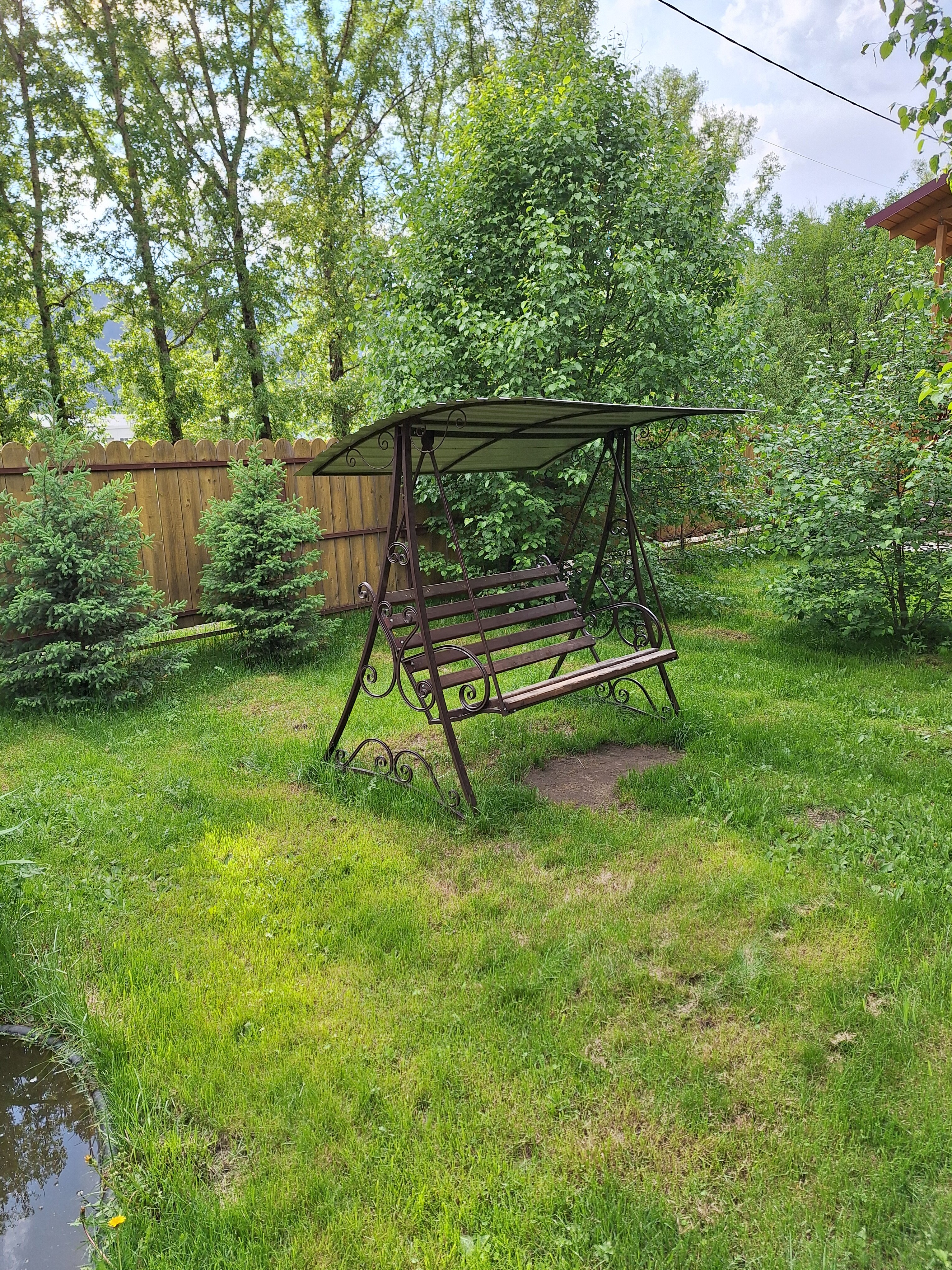 Фото Чемальское лето