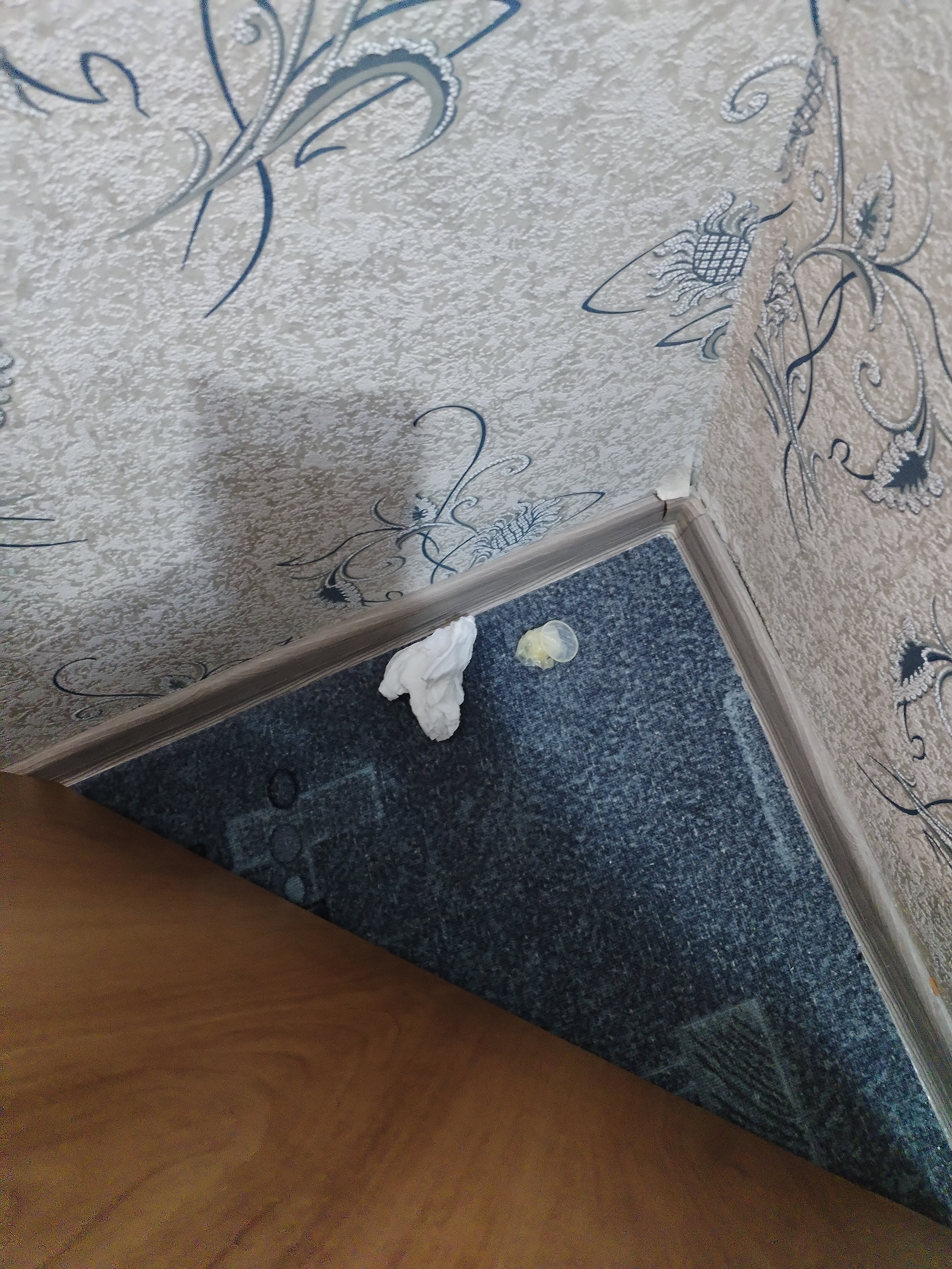 Фото Гостиница Славгород