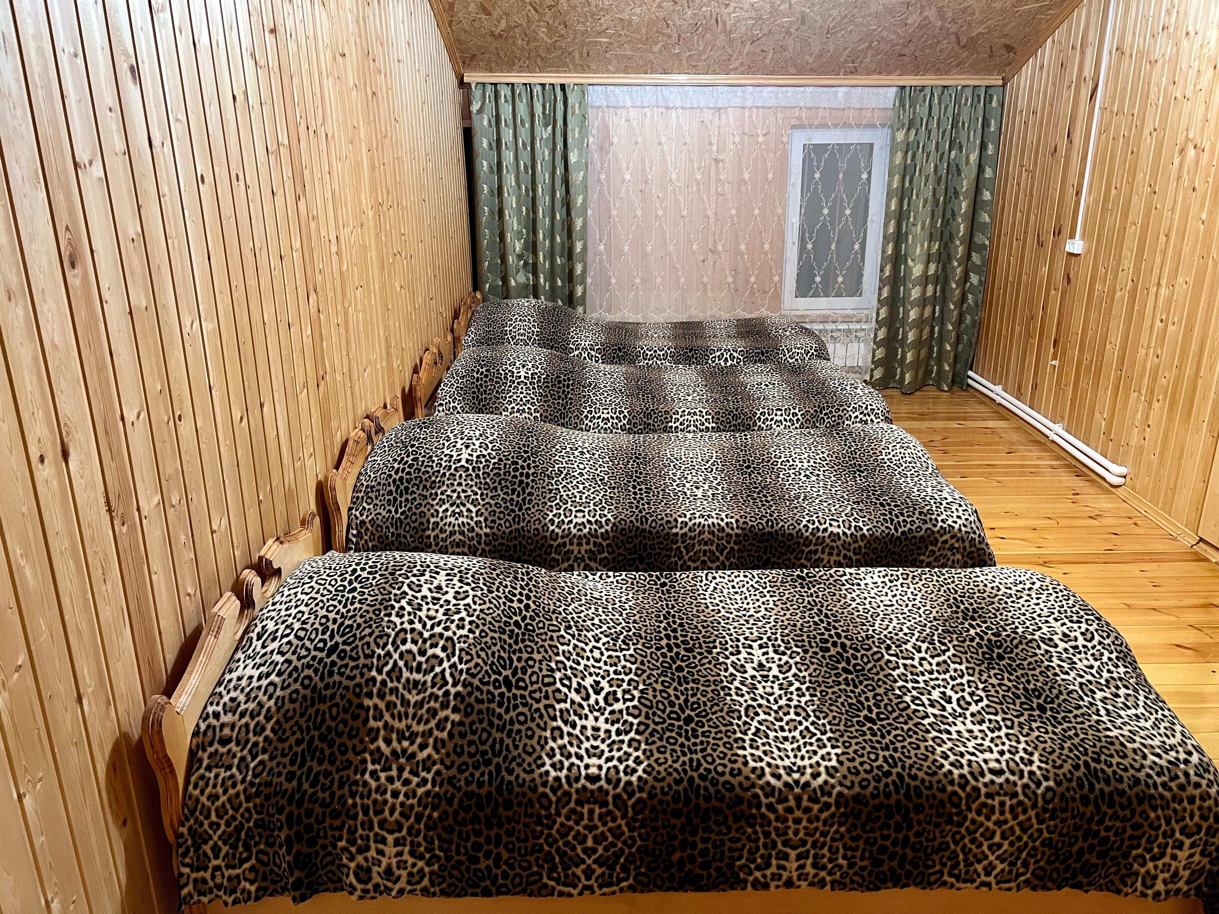 Фото Кругозор 2